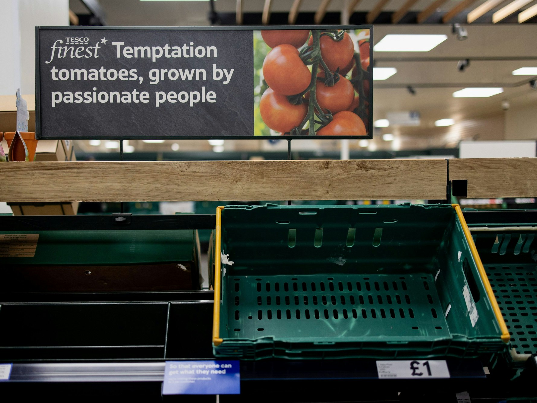 In einem Tesco-Supermarkt hängt ein Schild an den Regalen, das die Kunden an die geltenden Einkaufsbeschränkungen erinnert. Tomaten, Paprikas und weitere Obst- und Gemüsesorten sind zurzeit Mangelware in Großbritannien.