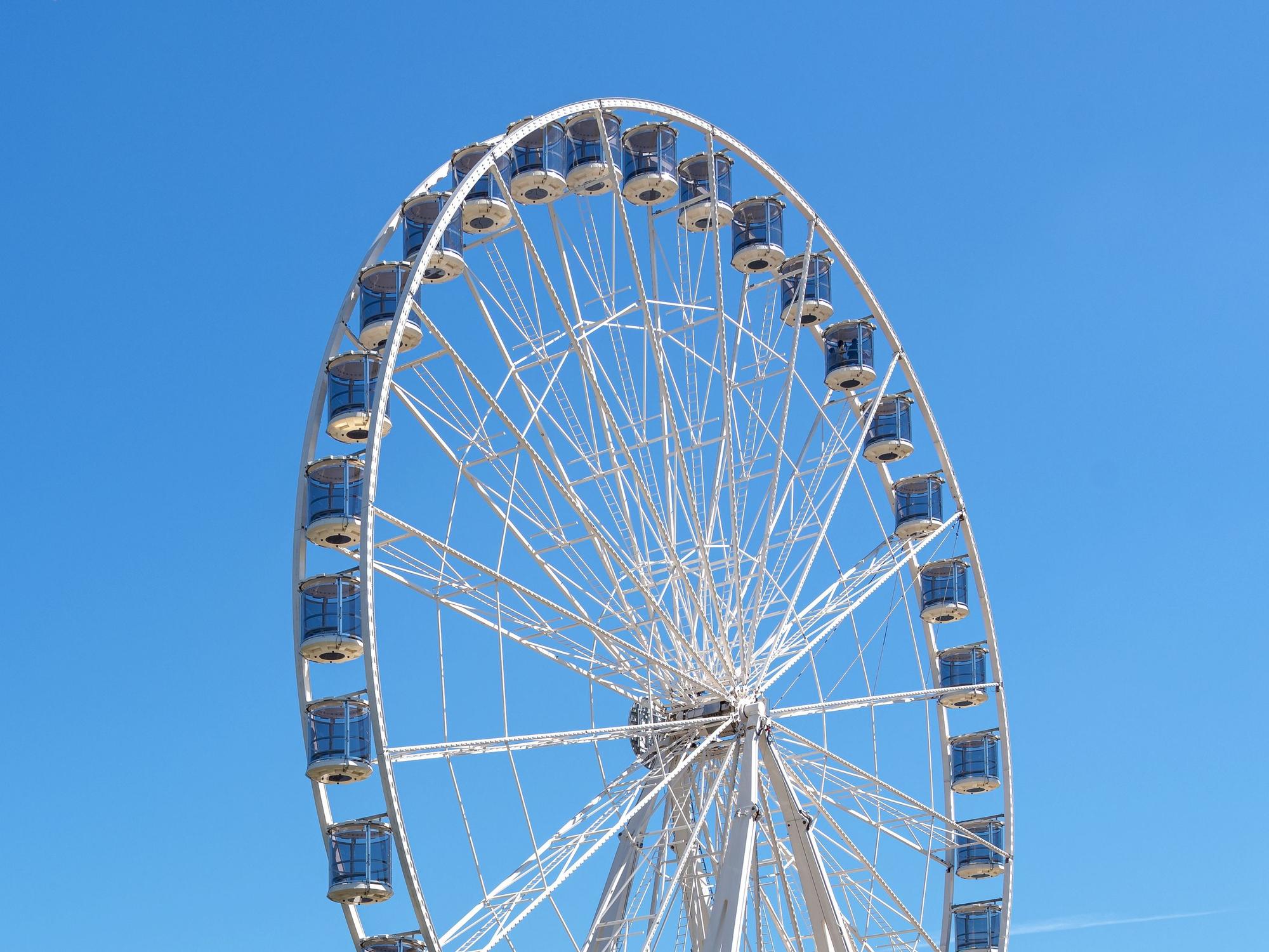 Das Riesenrad am Kölner Zoo.