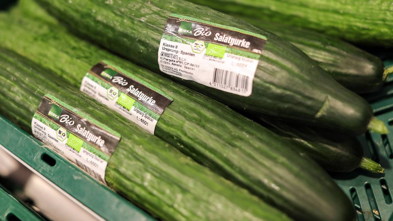 Der Preis für Gurken und anderes Gemüse ist in den vergangenen Wochen extrem gestiegen. Unser Archivbild (2019) zeigt Bio-Salatgurken in der Gemüseabteilung eines Supermarkts.