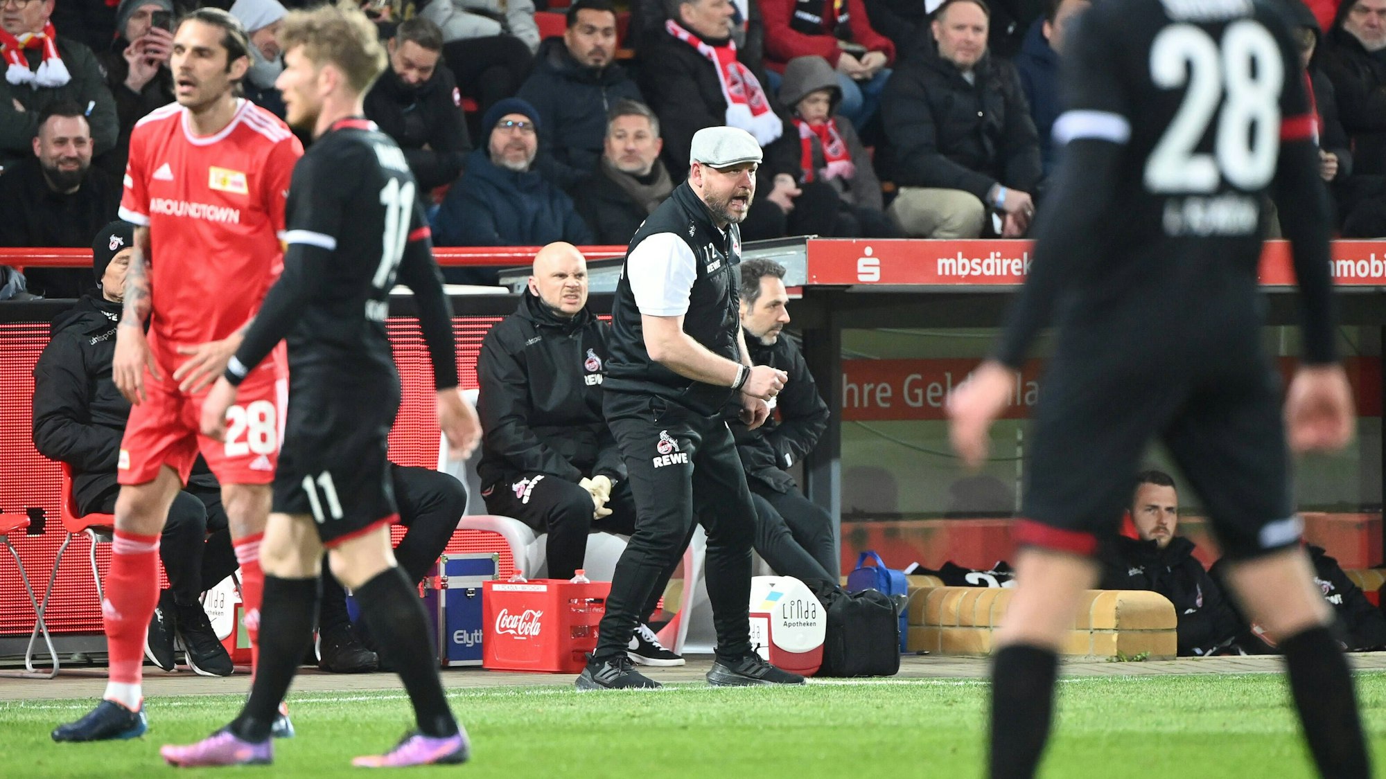 Steffen Baumgart gibt gegen Union Berlin Anweisungen an der Seitenlinie des 1. FC Köln.