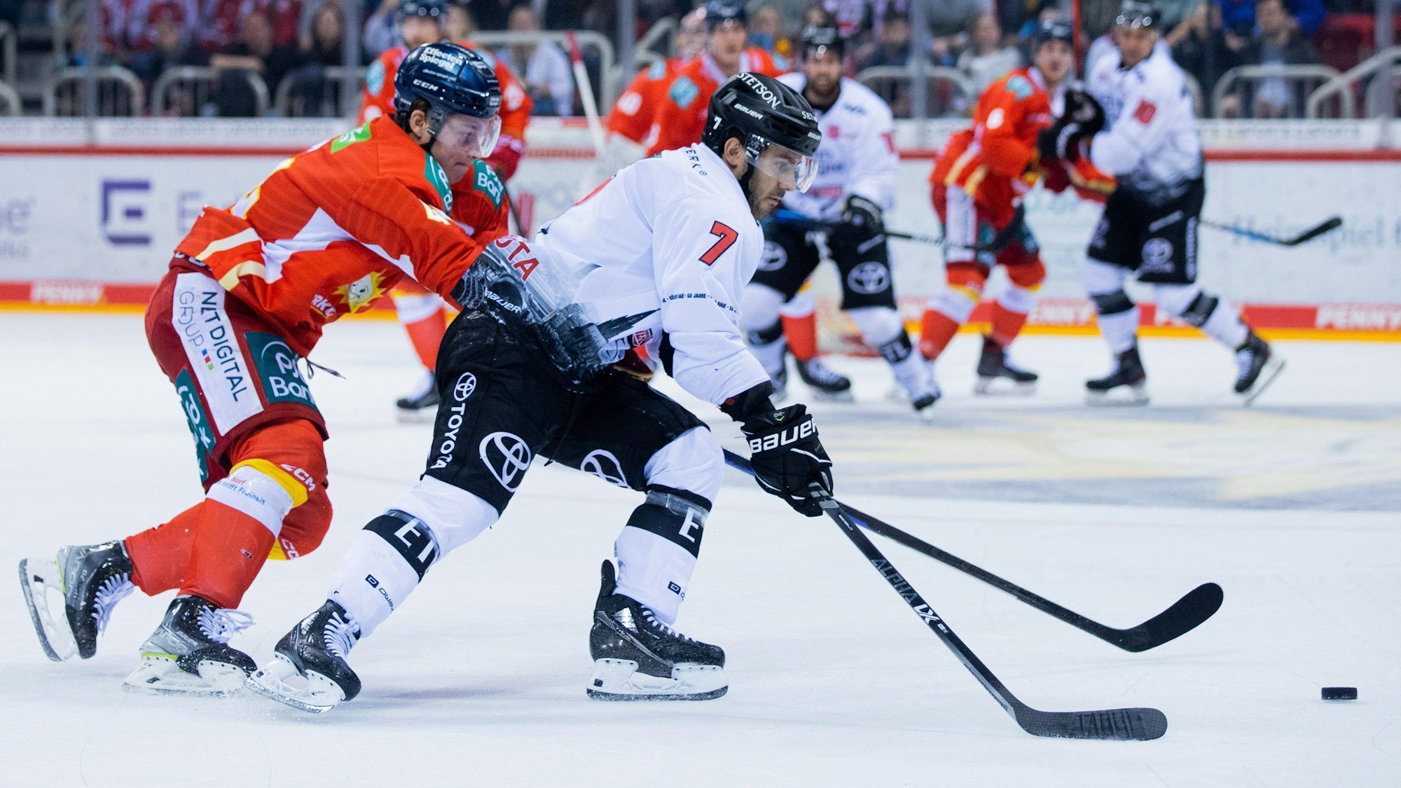 Josef Eham (l.) und Nick Bailen kämpfen im DEL-Derby zwischen der Düsseldorfer EG und den Kölner Haien um den Puck.
