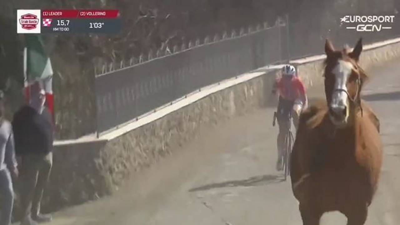 Ein Pferd verirrte sich auf die Strecke beim Radrennen Strade Bianche der Frauen.