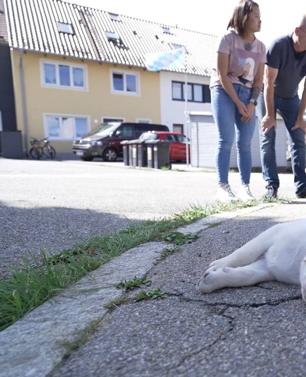 Familie Möller mit Labrador Retriever Loki.
Die Verwendung des sendungsbezogenen Materials ist nur mit dem Hinweis und Verlinkung auf RTL+ gestattet.