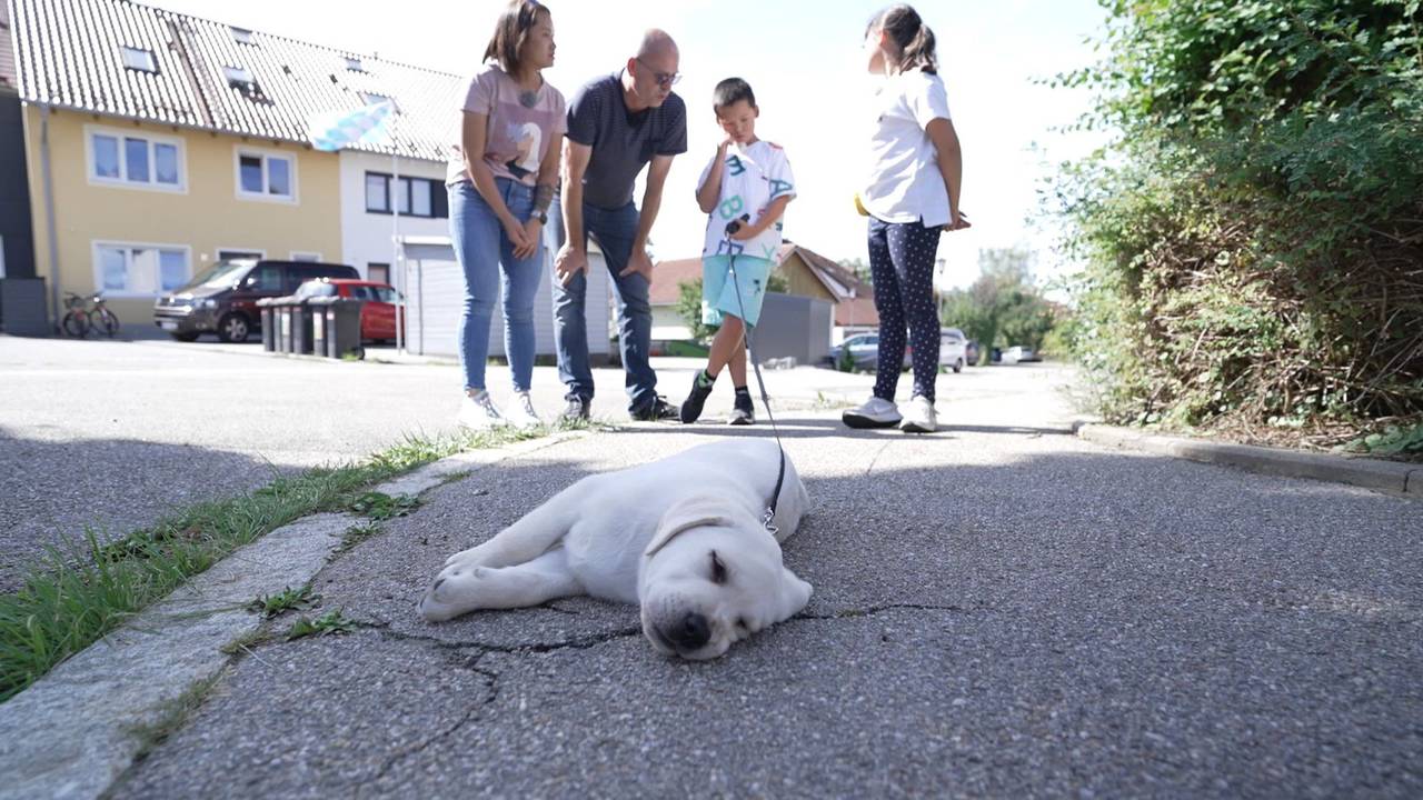Familie Möller mit Labrador Retriever Loki.
Die Verwendung des sendungsbezogenen Materials ist nur mit dem Hinweis und Verlinkung auf RTL+ gestattet.