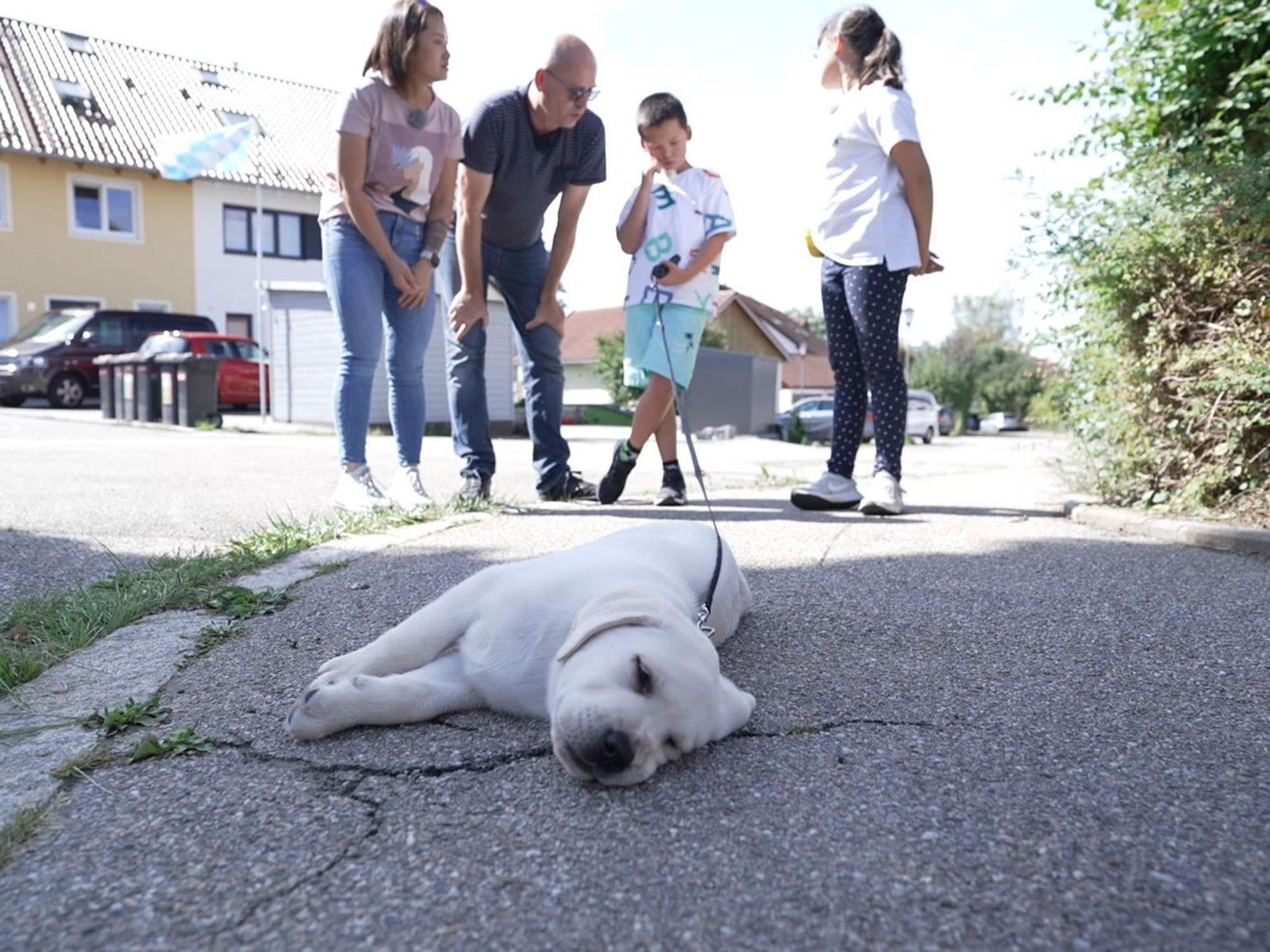 Familie Möller mit Labrador Retriever Loki.
Die Verwendung des sendungsbezogenen Materials ist nur mit dem Hinweis und Verlinkung auf RTL+ gestattet.