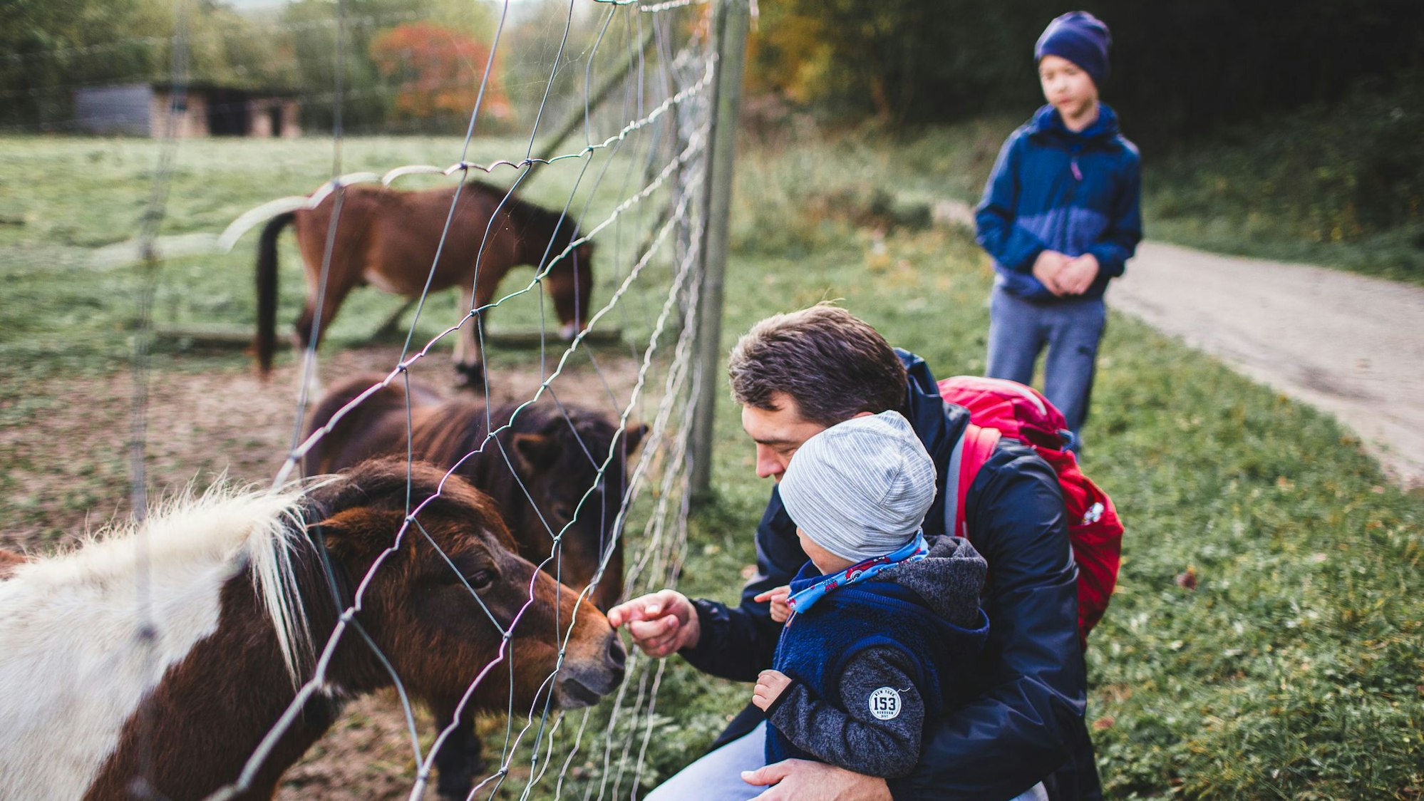 Viele Familienhotels punkten mit ihrer Verbundenheit zu Natur und Tier.
