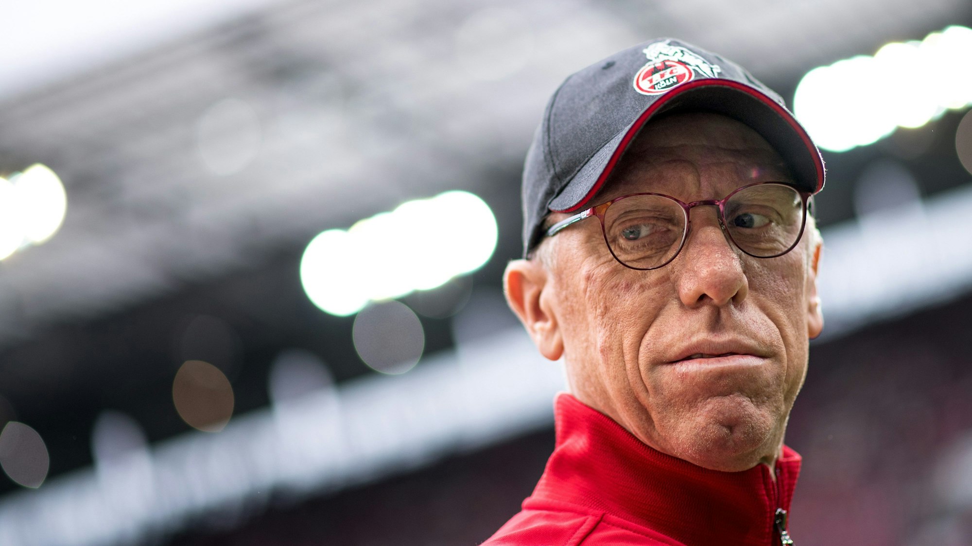 Peter Stöger steht beim 1. FC Köln an der Seitenlinie.