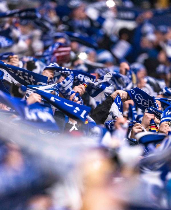 Schalke-Fans halten beim Spiel gegen den 1. FC Köln Schals in die Höhe.