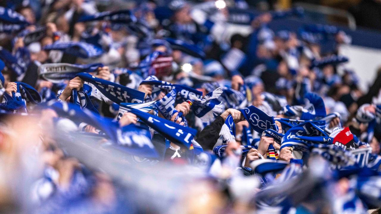Schalke-Fans halten beim Spiel gegen den 1. FC Köln Schals in die Höhe.