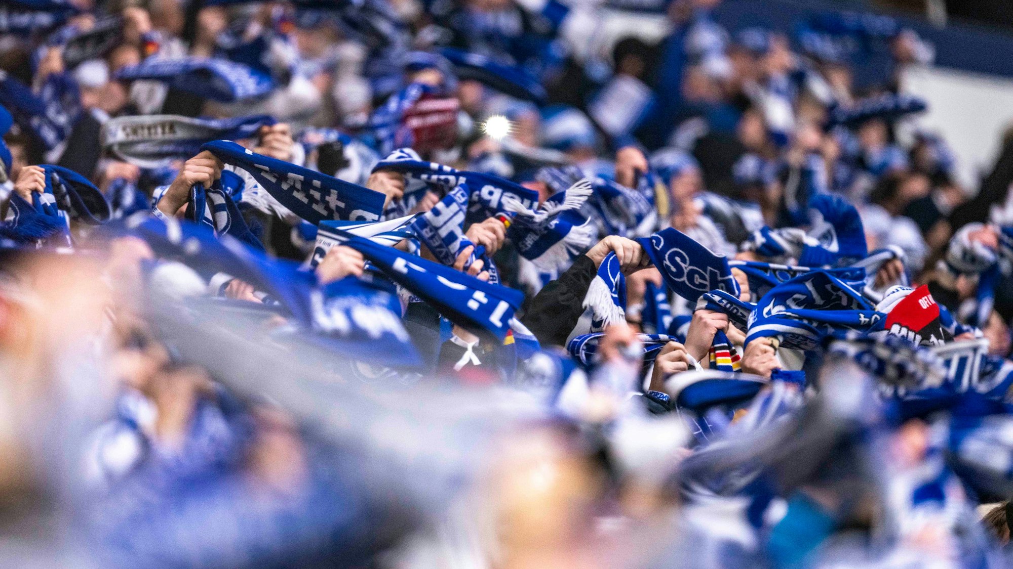 Schalke-Fans halten beim Spiel gegen den 1. FC Köln Schals in die Höhe.