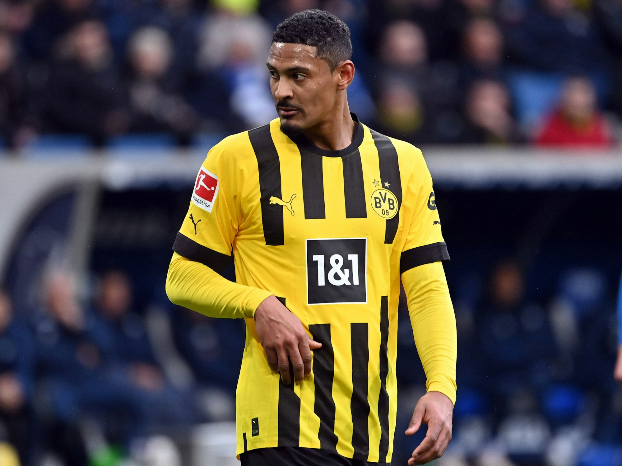Sebastien Haller auf dem Spielfeld im BVB-Trikot.