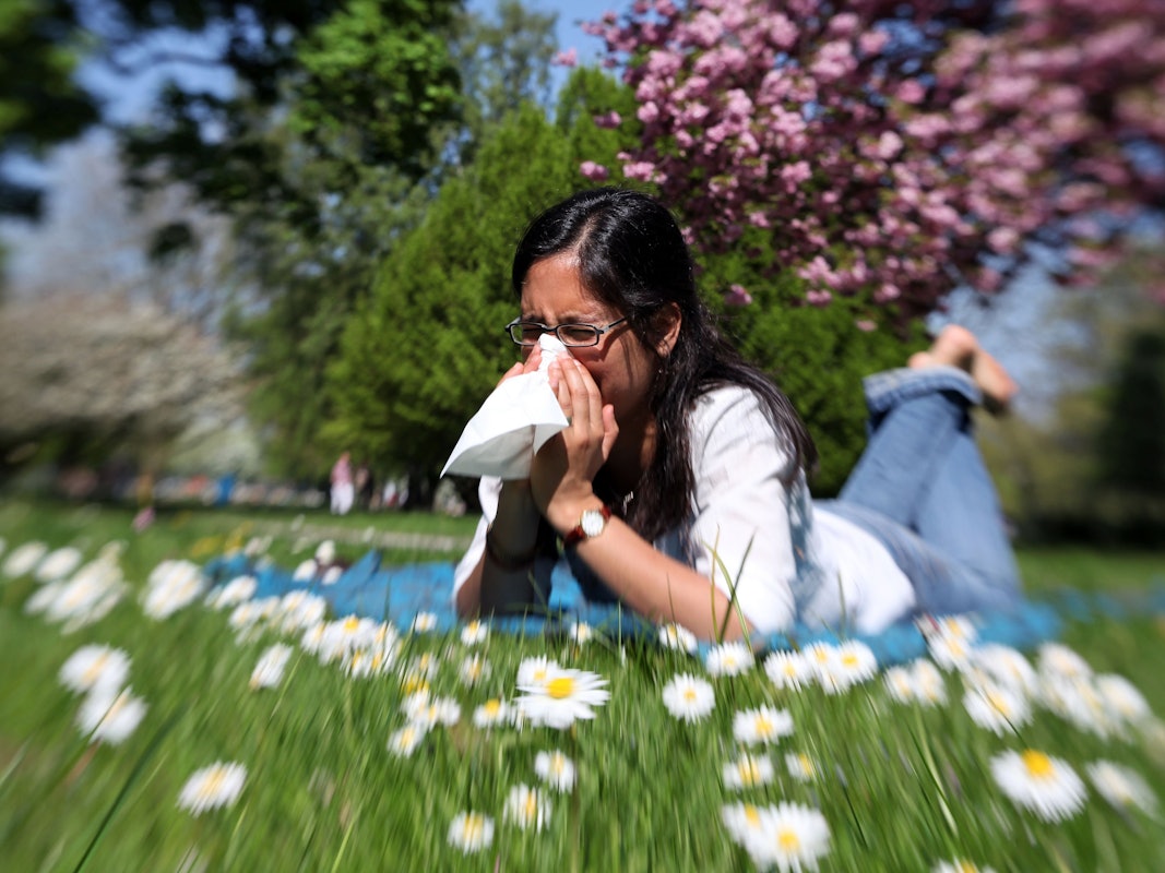 Eine junge Frau liegt am auf einer Wiese in Hamburg und niest in ein Papiertaschentuch.