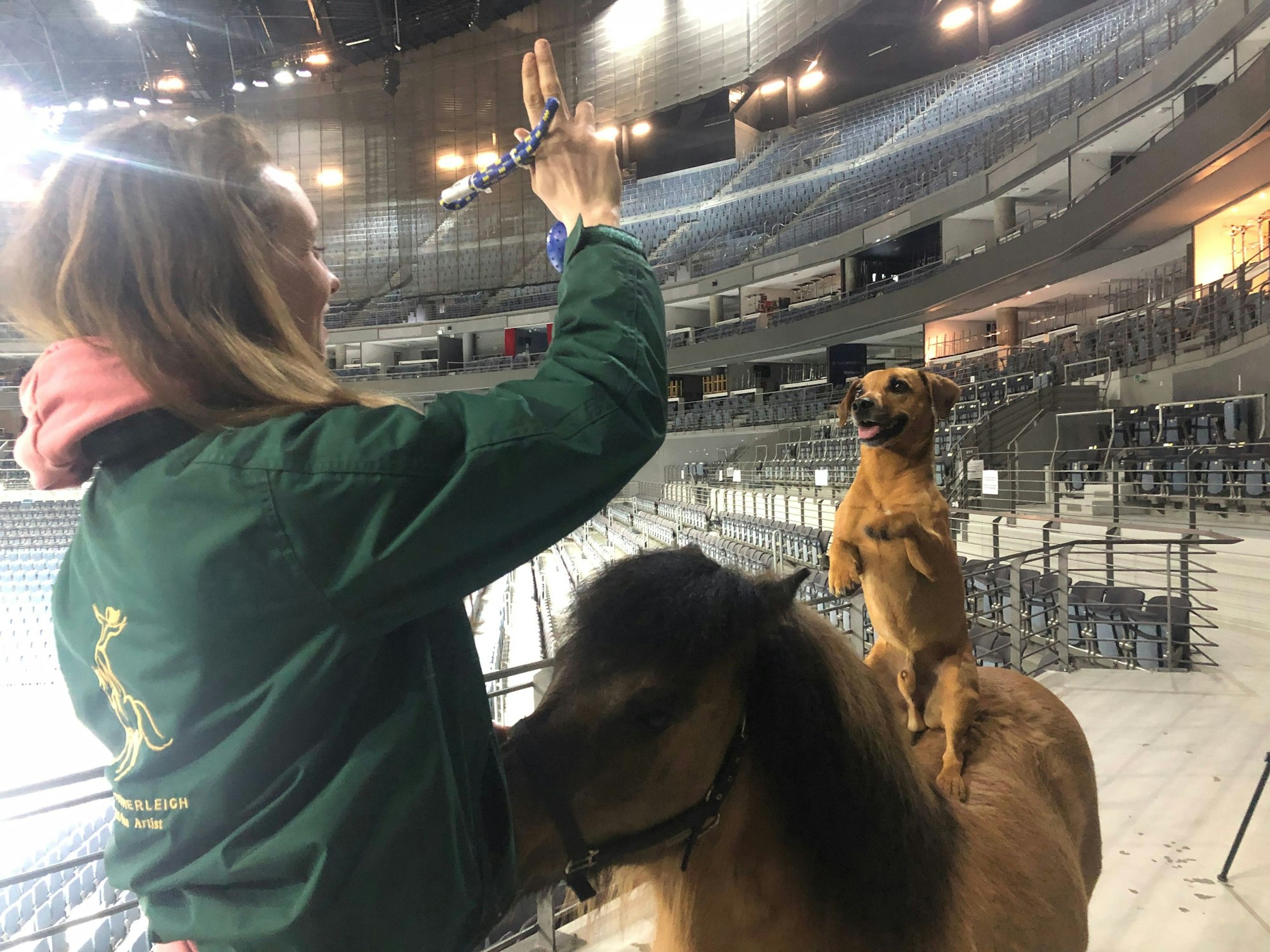 Hund Cowboy übernimmt in der Show ebenfalls eine Rolle.