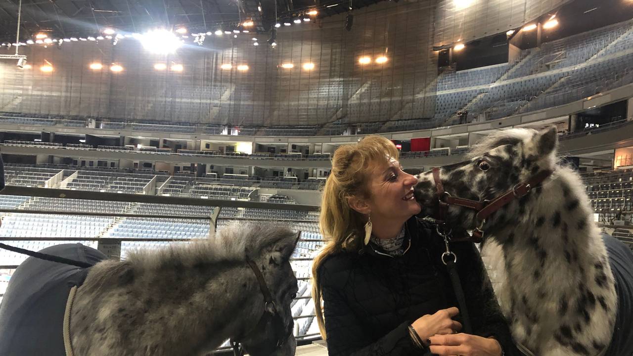Sylvie Willms tritt mit ihren Pferden in der Lanxess-Arena auf.