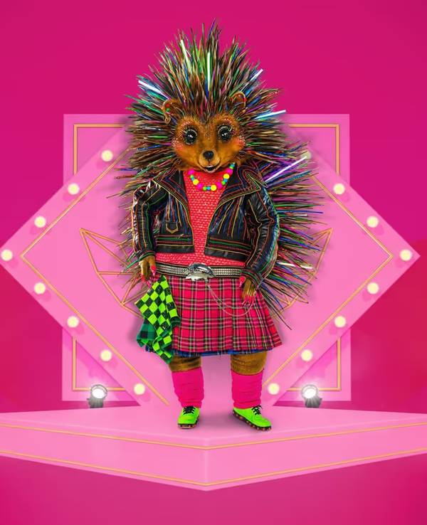 Das Igel-Kostüm von „The Masked Singer“ 2023.