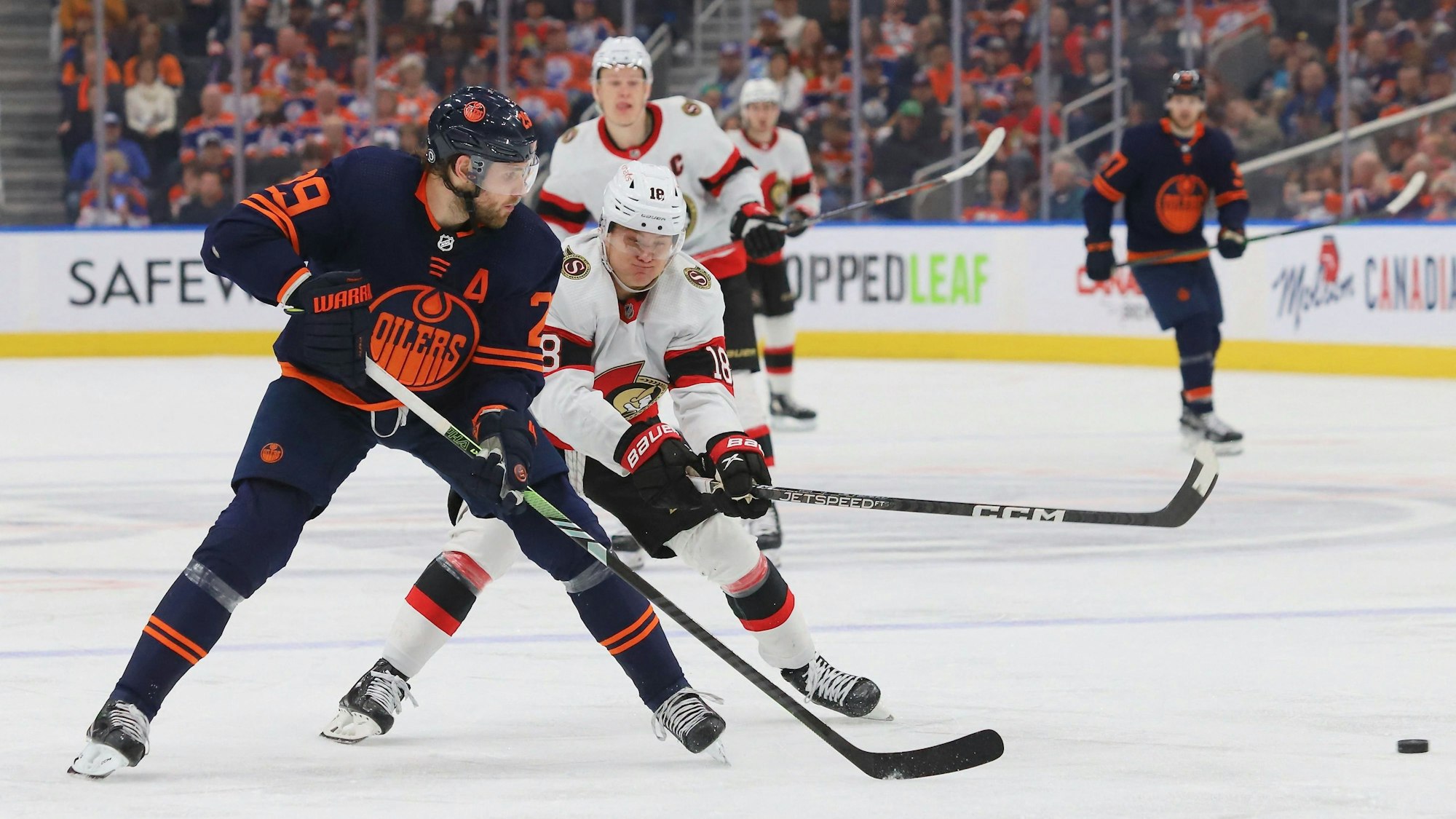Senators Tim Stützle (r.) versucht Edmontons Leon Draisaitl den Puck abzunehmen.