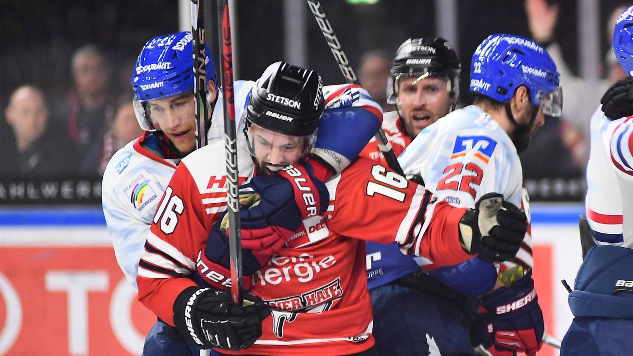 Ruppige Playoff-Zweikämpfe zwischen den Kölner Haien und Adler Mannheim.