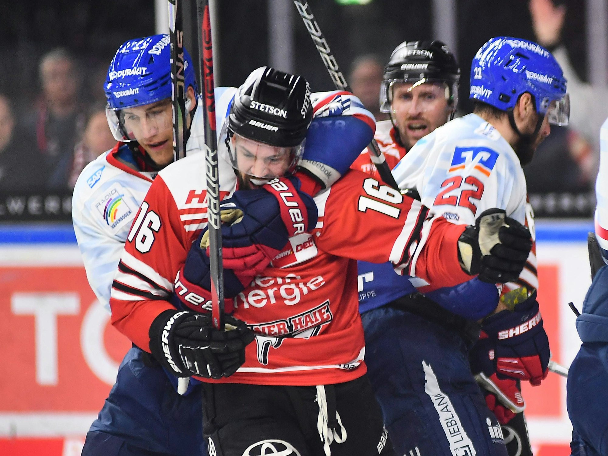 Ruppige Playoff-Zweikämpfe zwischen den Kölner Haien und Adler Mannheim.
