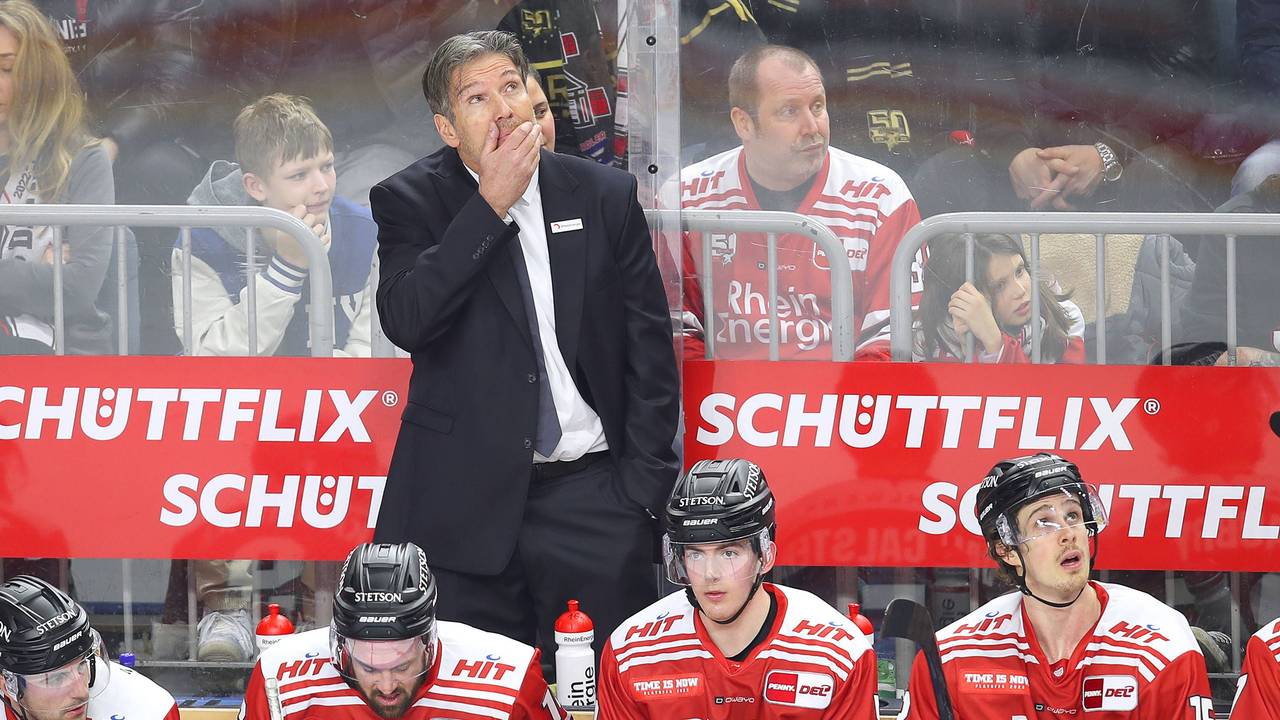 Eishockey-Playoffs in der DEL: Trainer Uwe Krupp, Headcoach der Kölner Haie, steht auf der Spielerbank und schaut angespannt nach oben auf die Anzeigetafel in der Lanxess-Arena.