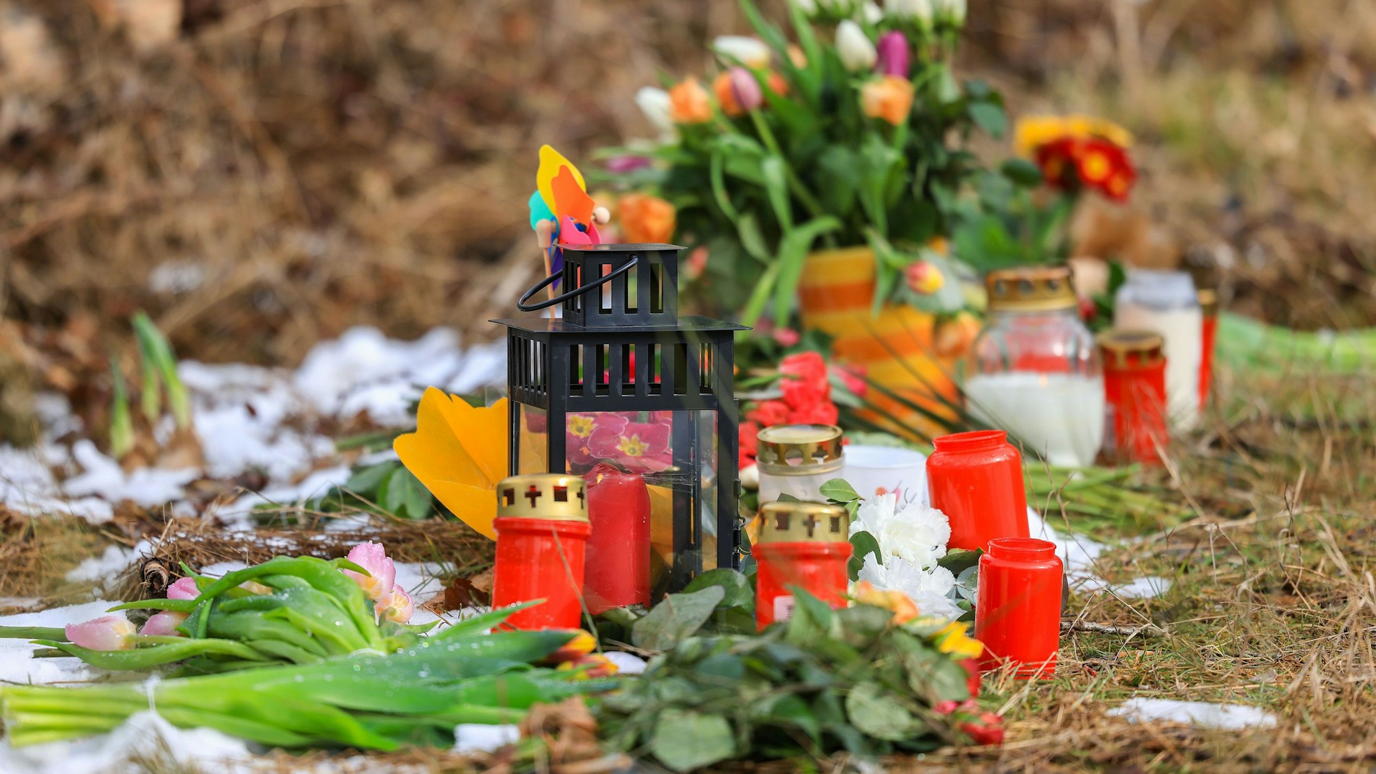16.03.2023, Nordrhein-Westfalen, Freudenberg: Kerzen und Blumen liegen in einem Wald im südlichen Nordrhein-Westfalen.