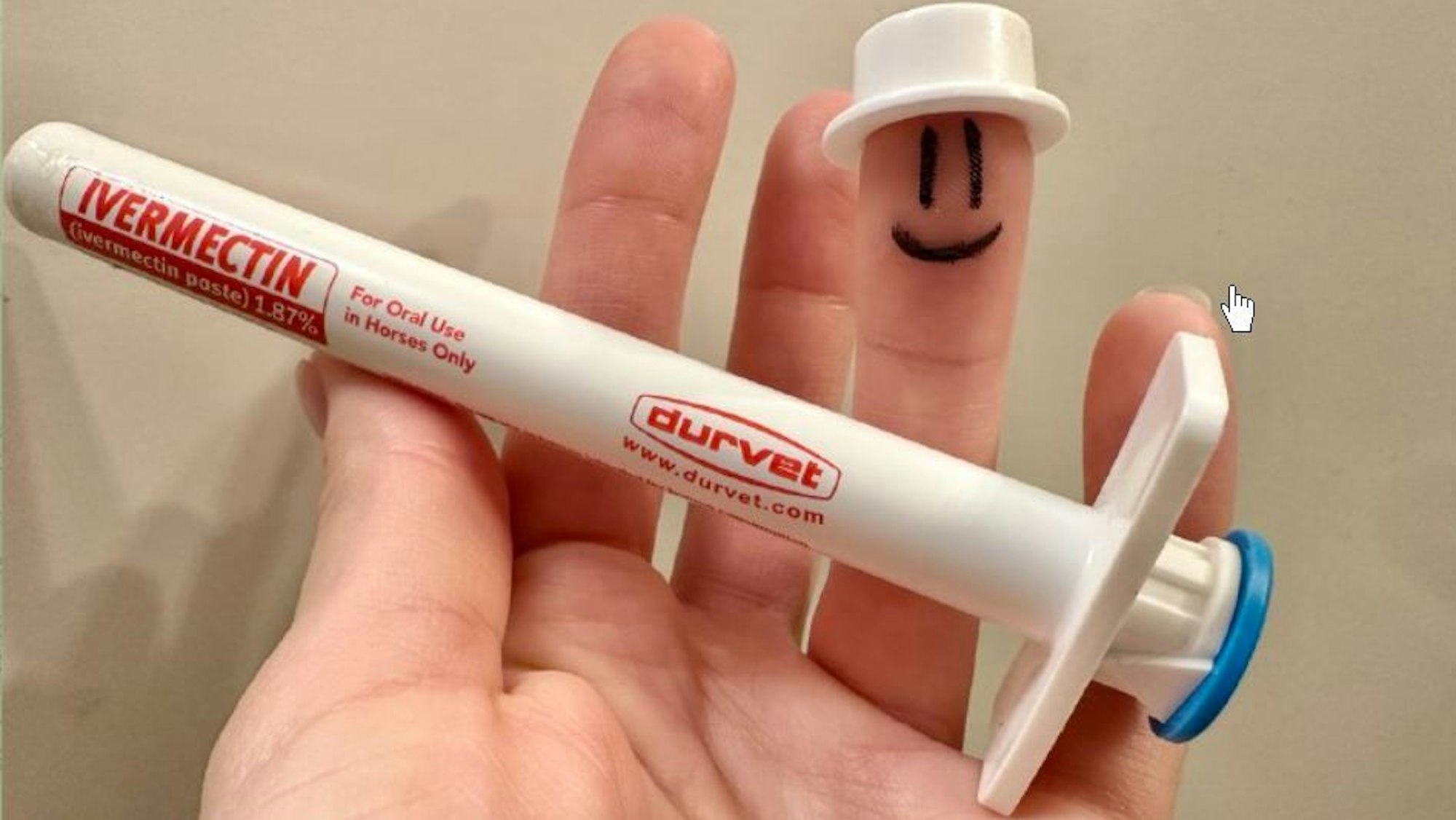 In einer privaten Gruppe auf Telegram namens „Dirt Road Discussions“ diskutieren Eltern darüber, wie das Wurmmittel Ivermectin bei Krankheiten und Behinderungen helfen. Das Mittel ist giftig.