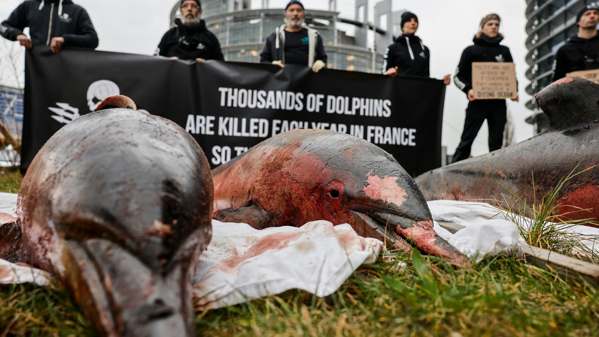 Aktivistinnen und Aktivisten haben Delfin-Kadaver vor dem Europäischen Parlament platziert, um gegen die Fischereimethoden in Frankreich zu demonstrieren.