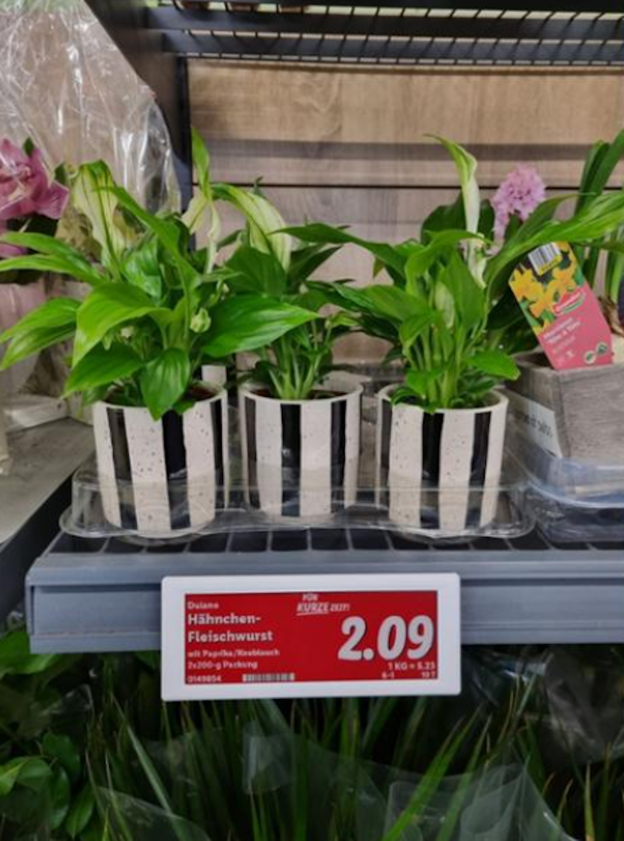 Pflanzen stehen in einem Regal bei Lidl. Darunter steht das Verkaufsschild mit der Aufschrift: „Hähnchen-Fleischwurst mit Paprika/Knoblauch.“