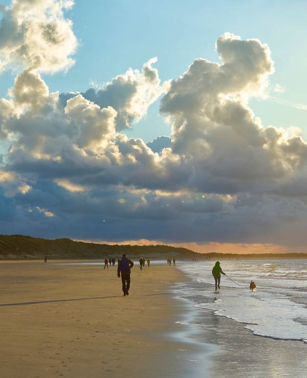 Strand bei Renesse mit Urlaubern und deren Hunden.
