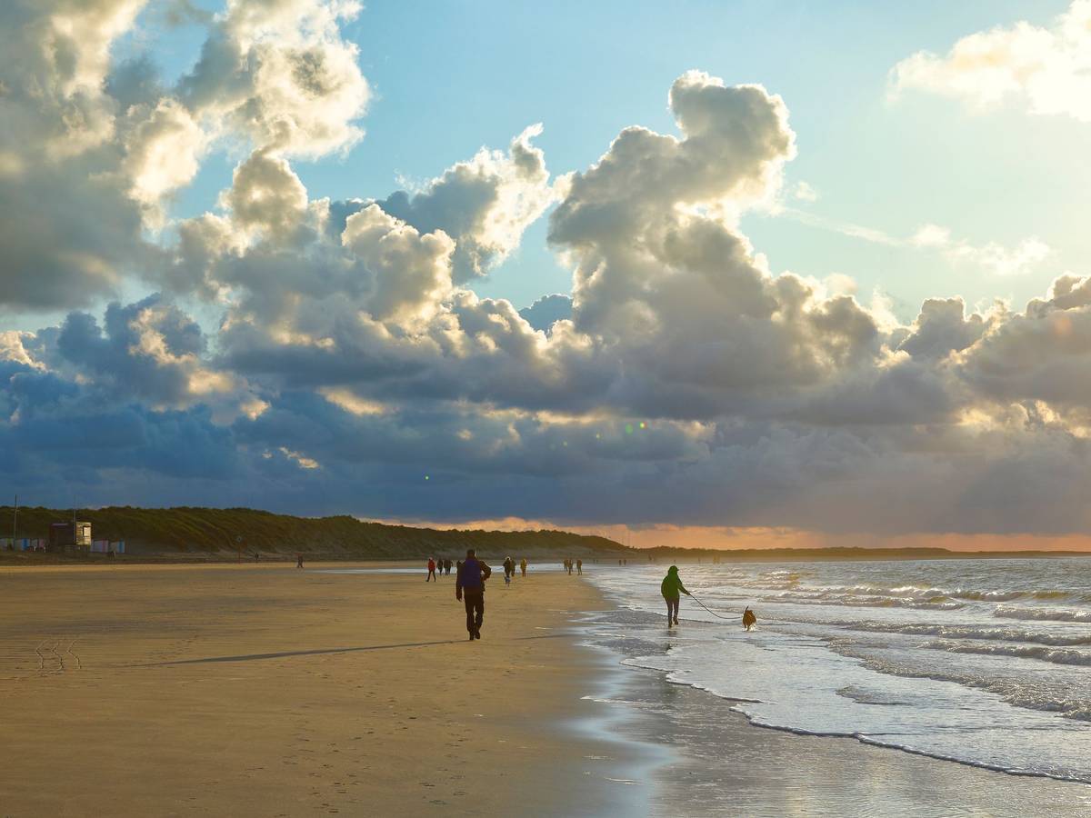 Strand bei Renesse mit Urlaubern und deren Hunden.