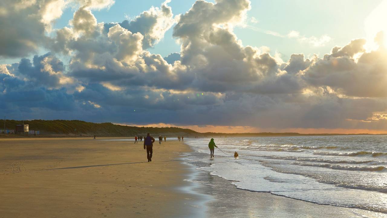 Strand bei Renesse mit Urlaubern und deren Hunden.