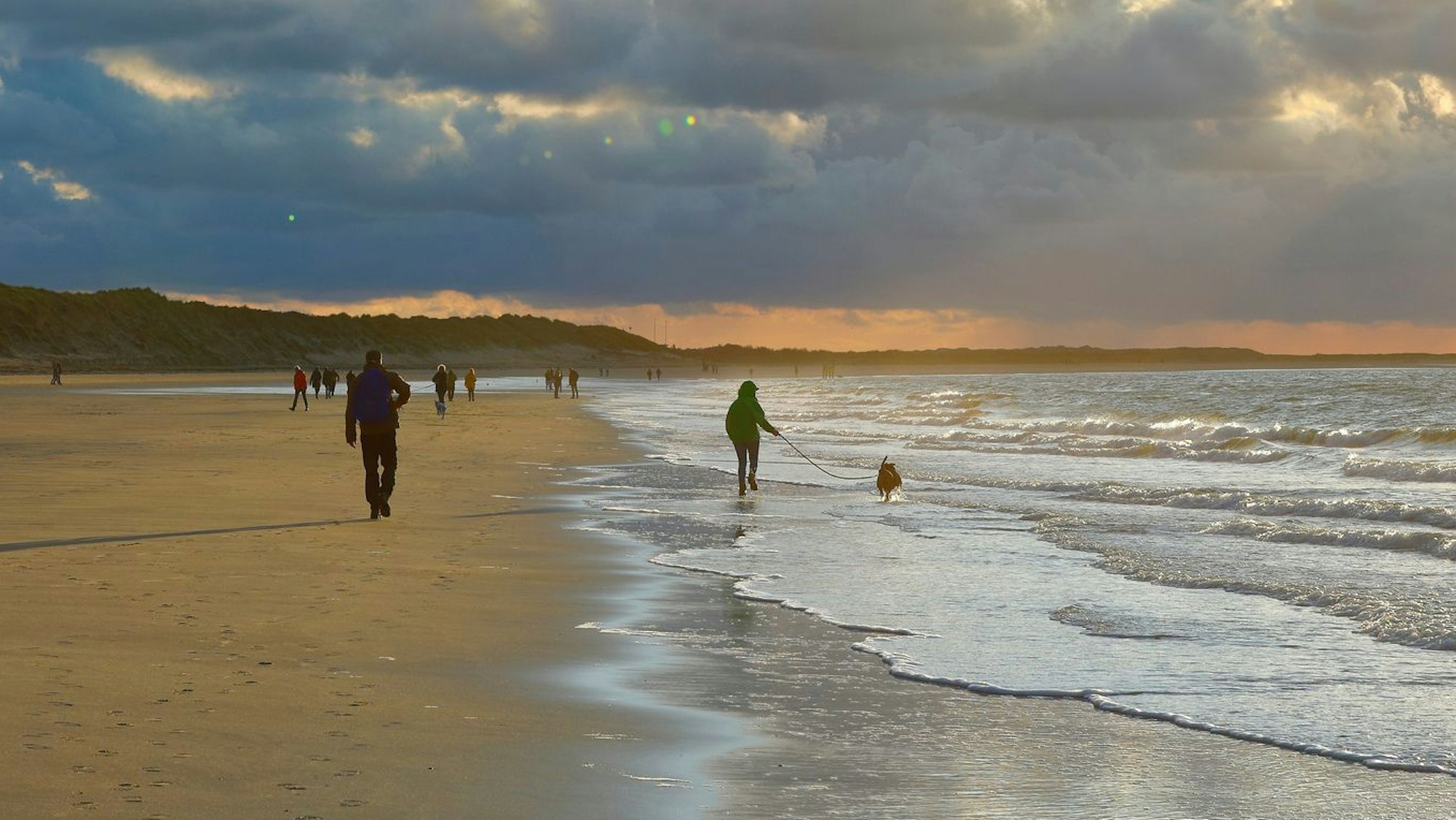 Strand bei Renesse mit Urlaubern und deren Hunden.