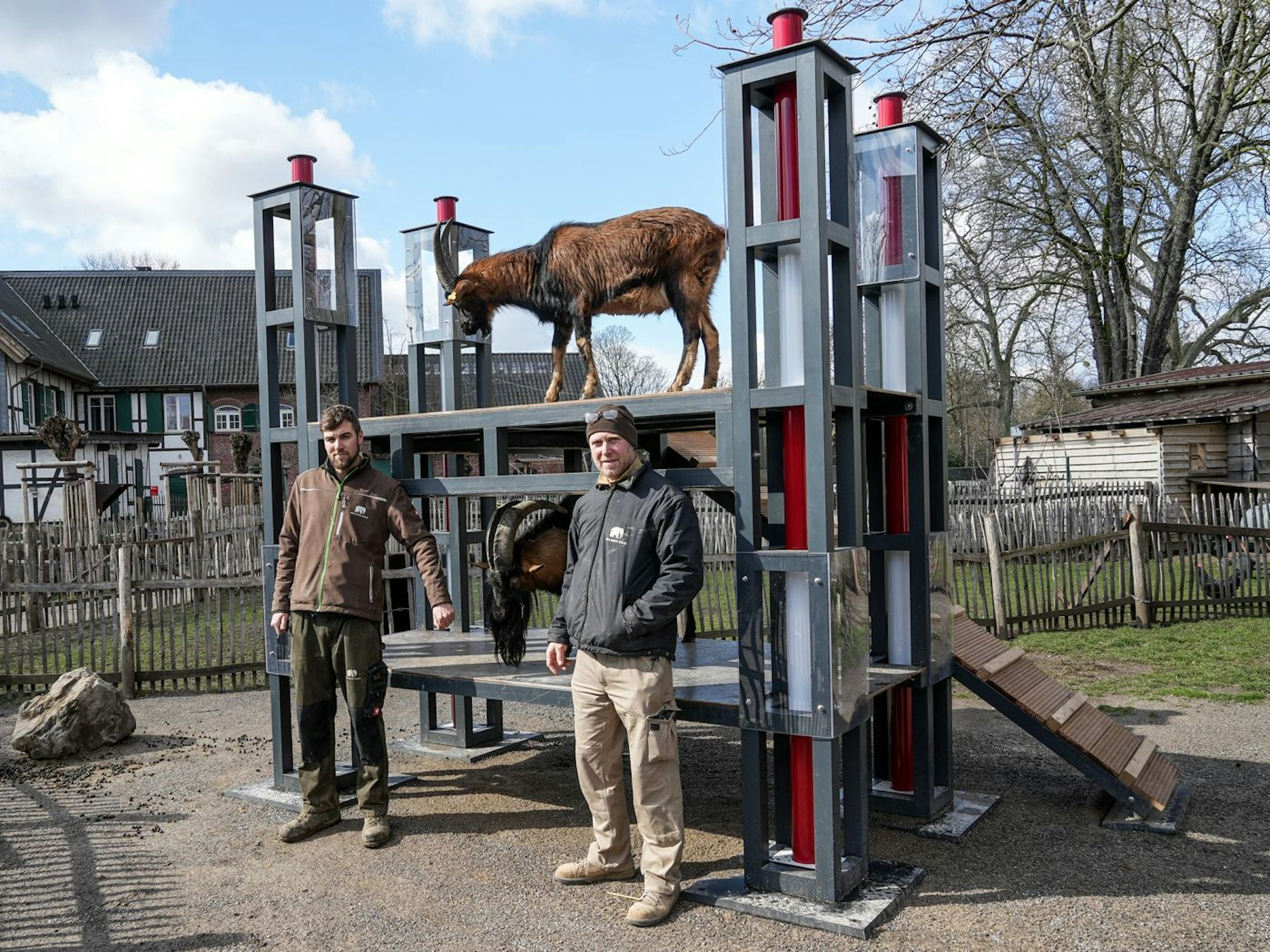 Tierpfleger Steffen Schröder und Zoo-Schreiner Carsten Reichart mit Hennes IX. (untere Ebene) und Mätes (oben). Der Stadion-Nachbau gehört nun zur Anlage.
