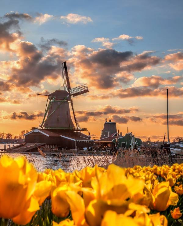 Windmühle in Zaanse Schans, Nordholland