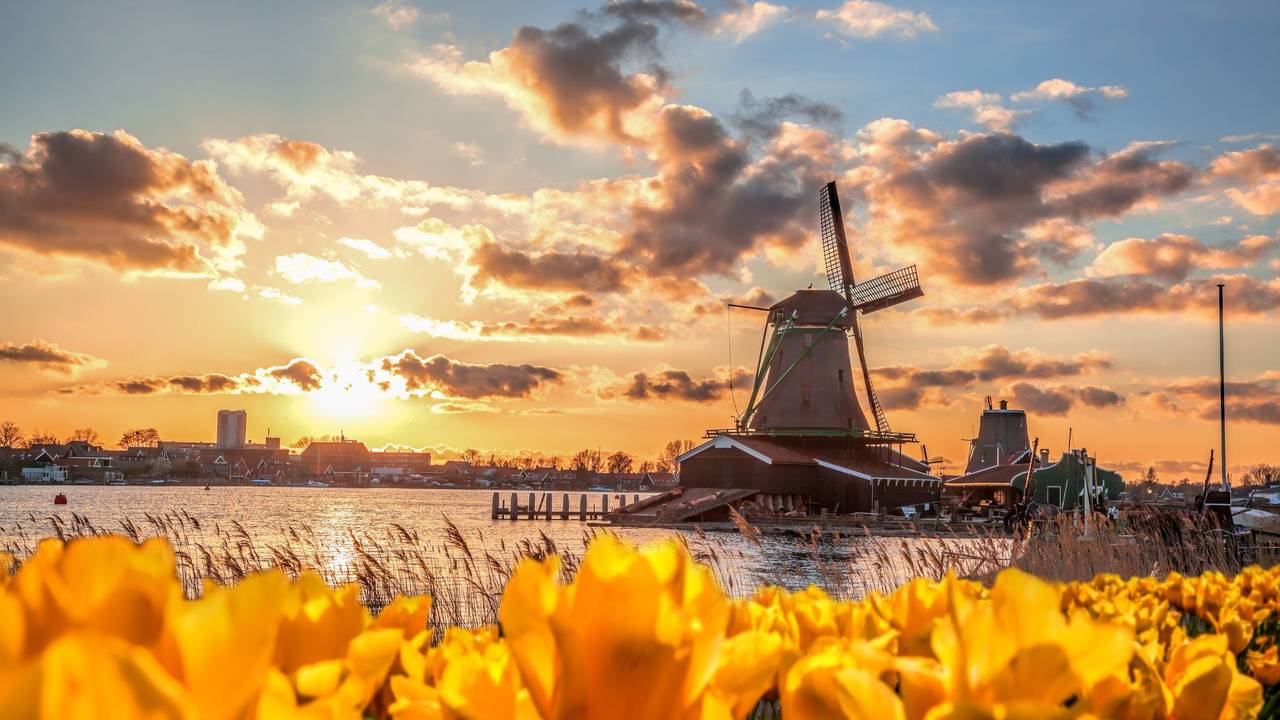Windmühle in Zaanse Schans, Nordholland