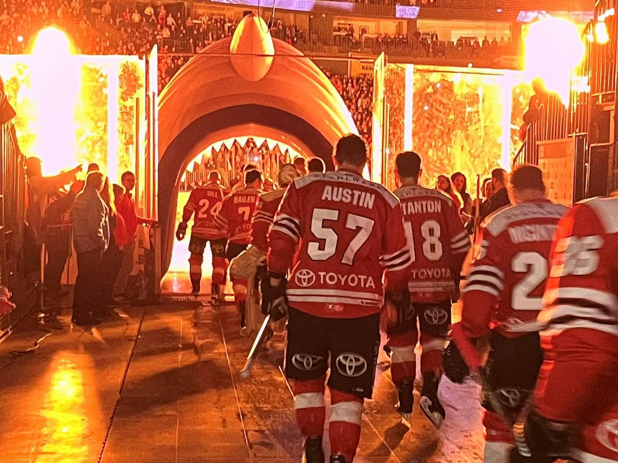 Haie-Profis gehen durchs Hai-Maul aufs Eis.