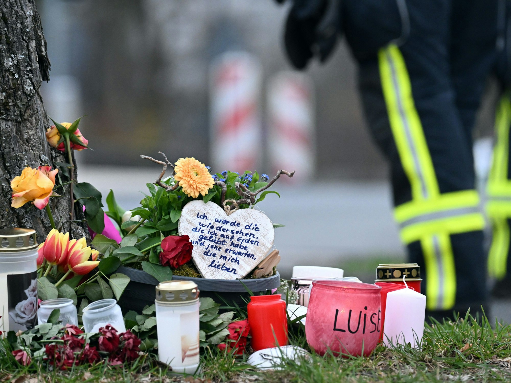 Freudenberg: Kerzen und Blumen liegen an einem Baum an der Gesamtschule der getöteten Luise (12).