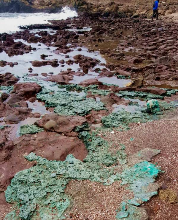 Dieses Foto, das von der Federal University of Parana veröffentlicht wurde, zeigt das Plastikgestein am Strand von Trindade.