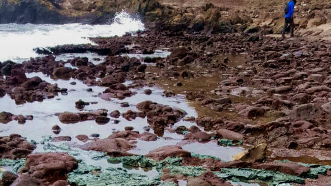 Dieses Foto, das von der Federal University of Parana veröffentlicht wurde, zeigt das Plastikgestein am Strand von Trindade.