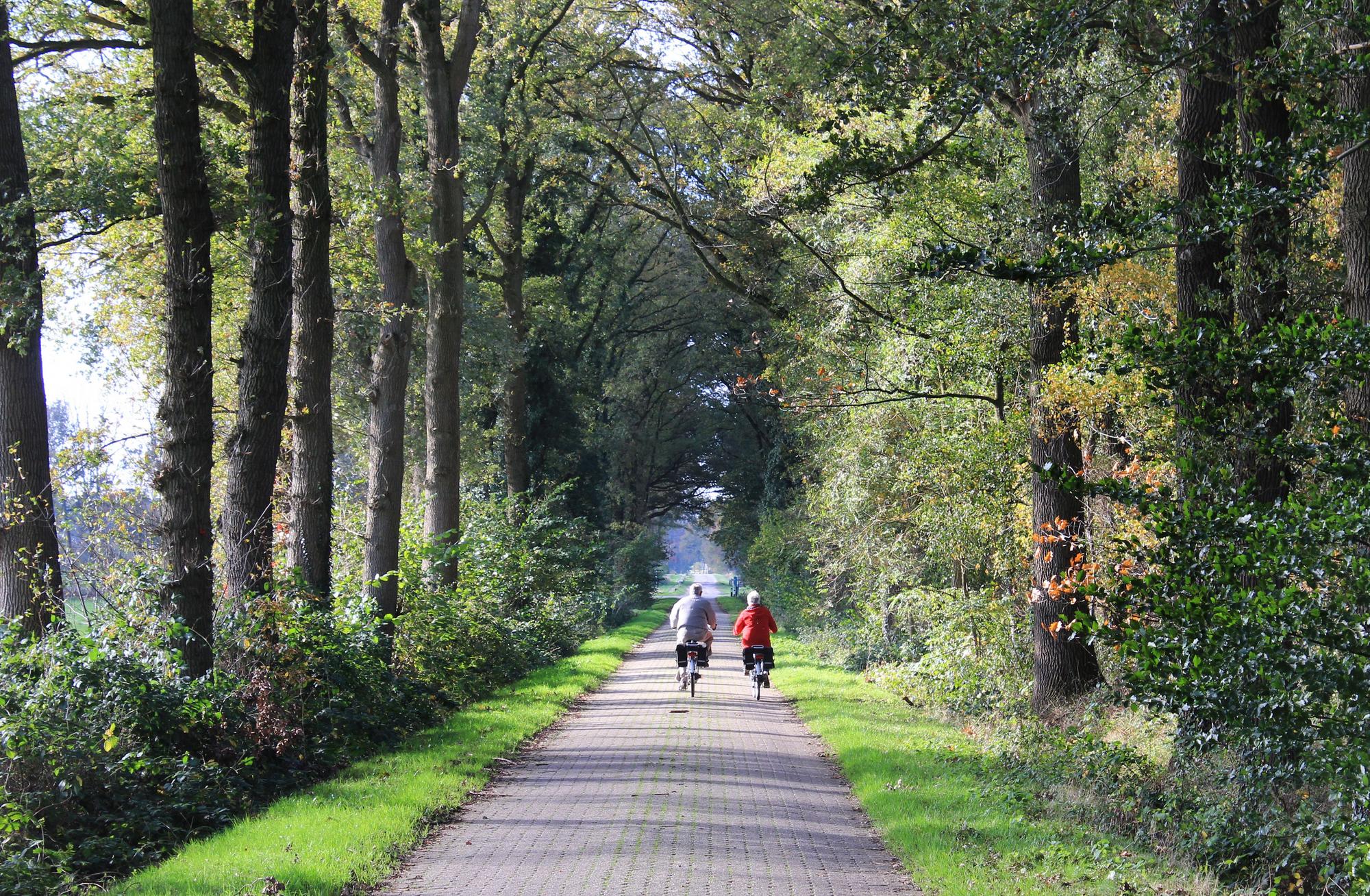 Paradies für Radler: Das Fahrradwegenetz rund um Winterswijk ist mehr als 500 Kilometer lang.