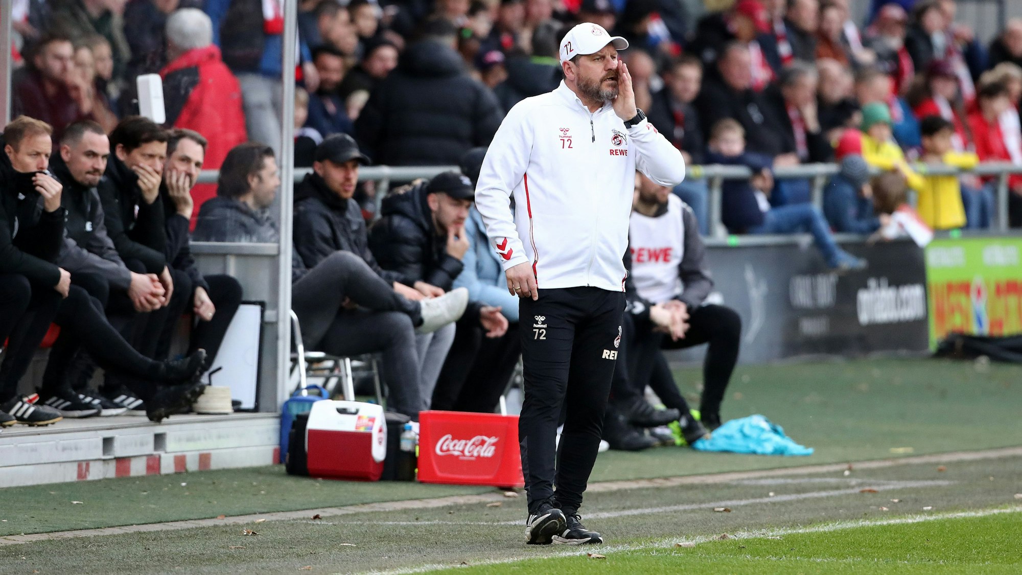Steffen Baumgart steht beim Testspiel des 1. FC Köln gegen VV St. Truiden am Donnerstagabend an der Seitenlinie und ruft etwas.