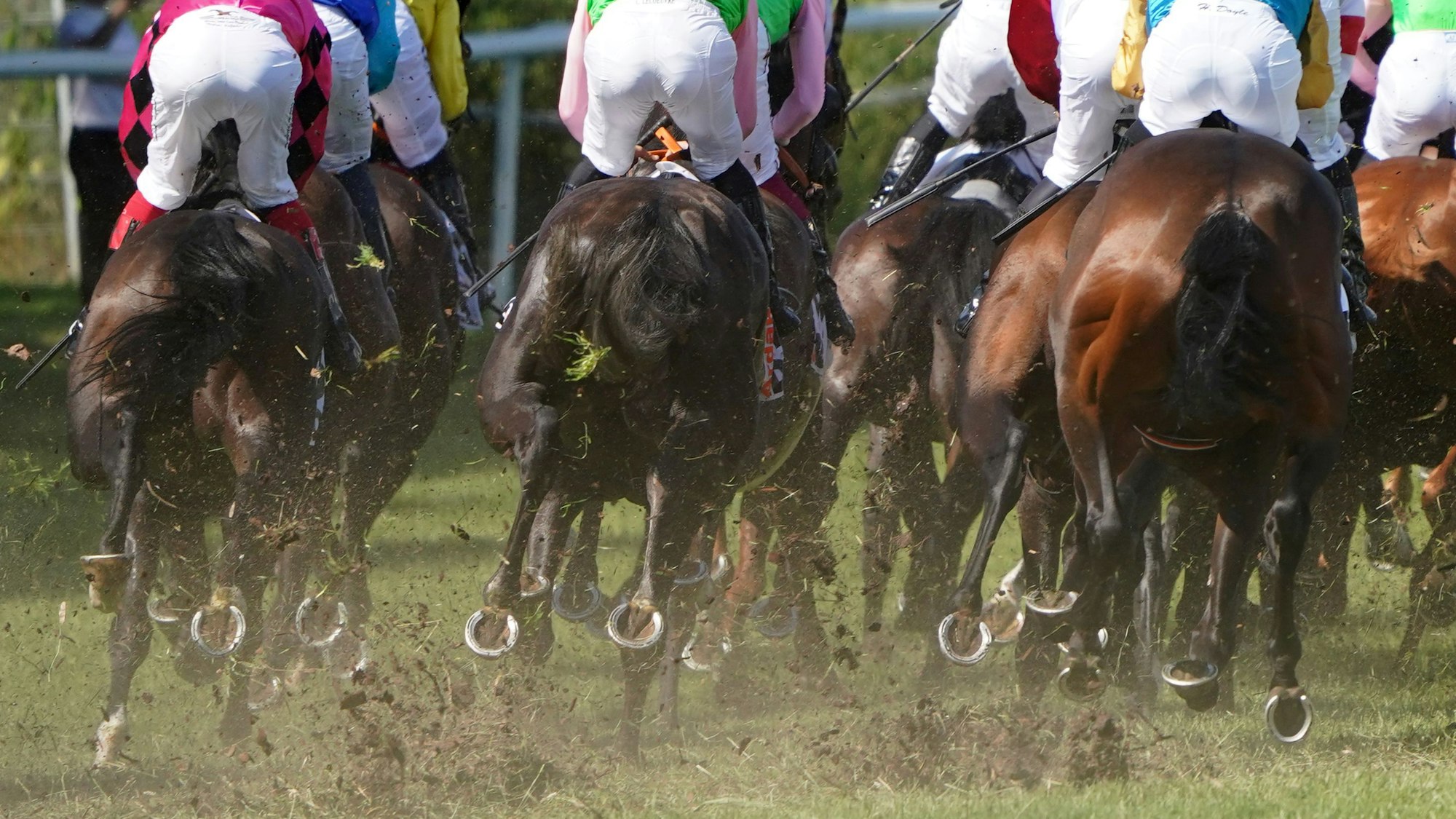 Die Teilnehmer des Deutschen Derbys laufen an der Tribüne vorbei.