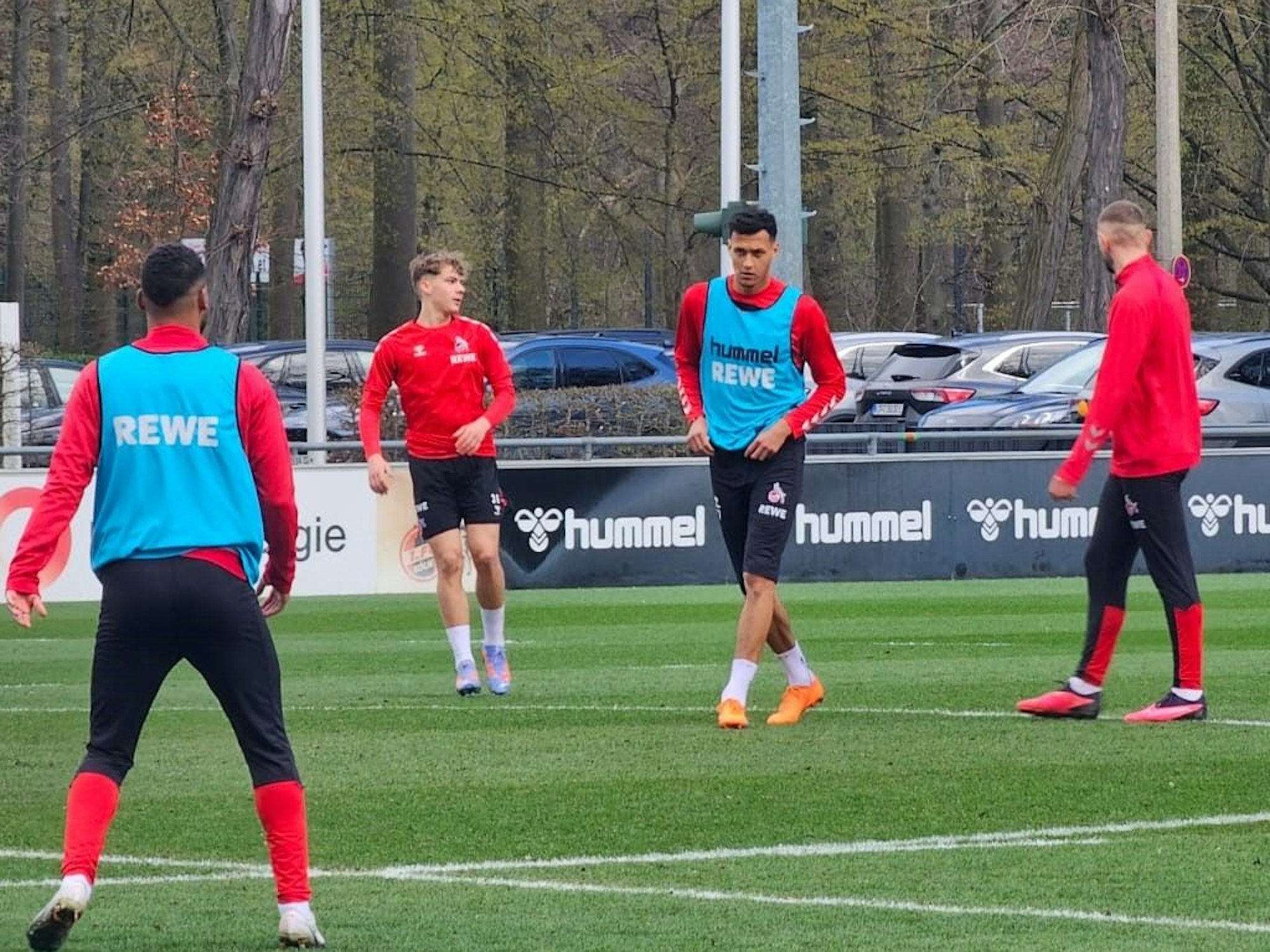 Davie Selke im Training des 1. FC Köln.
