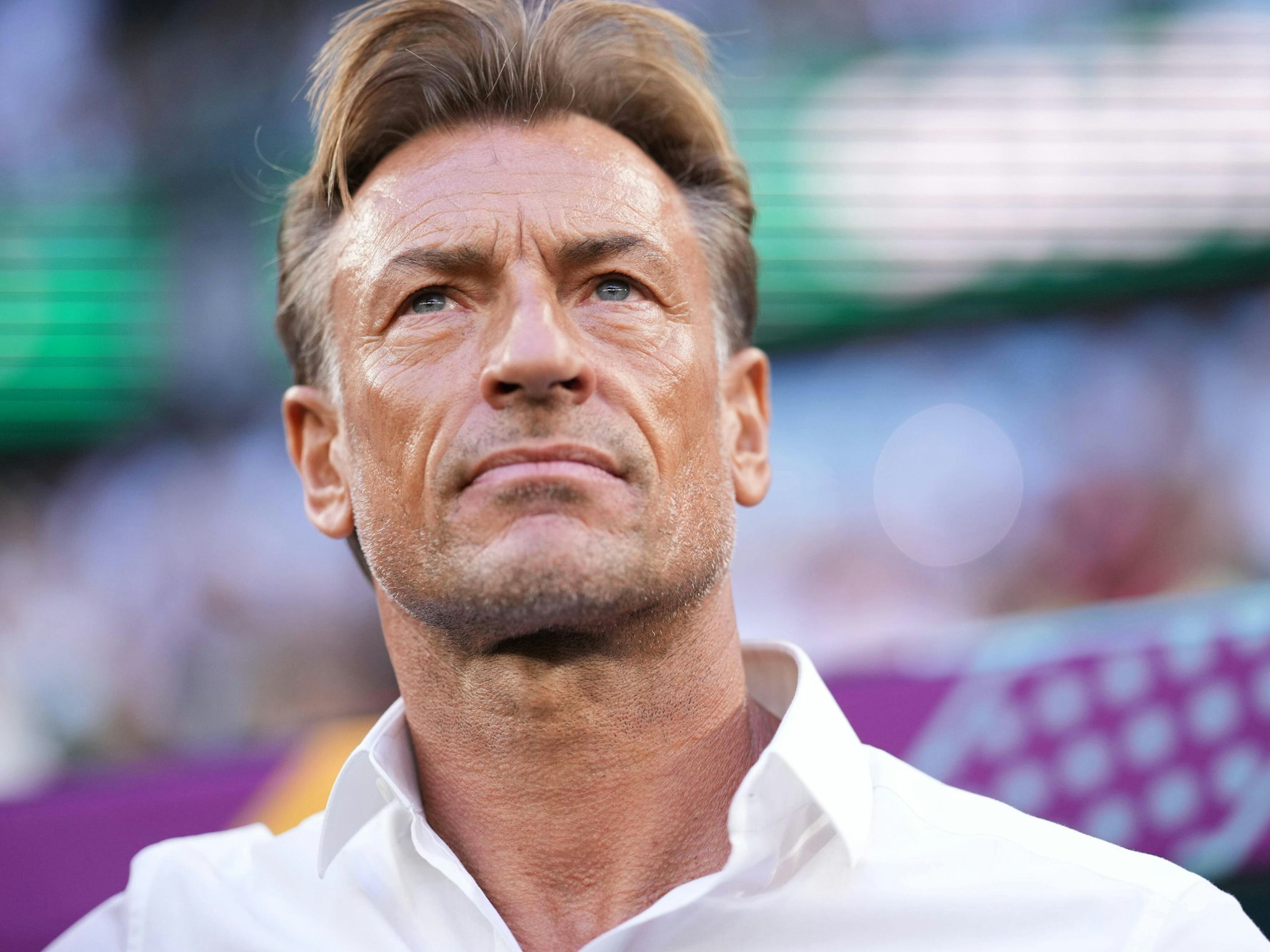 Trainer Hervé Renard schaut aufs Spielfeld bei der WM in Katar.