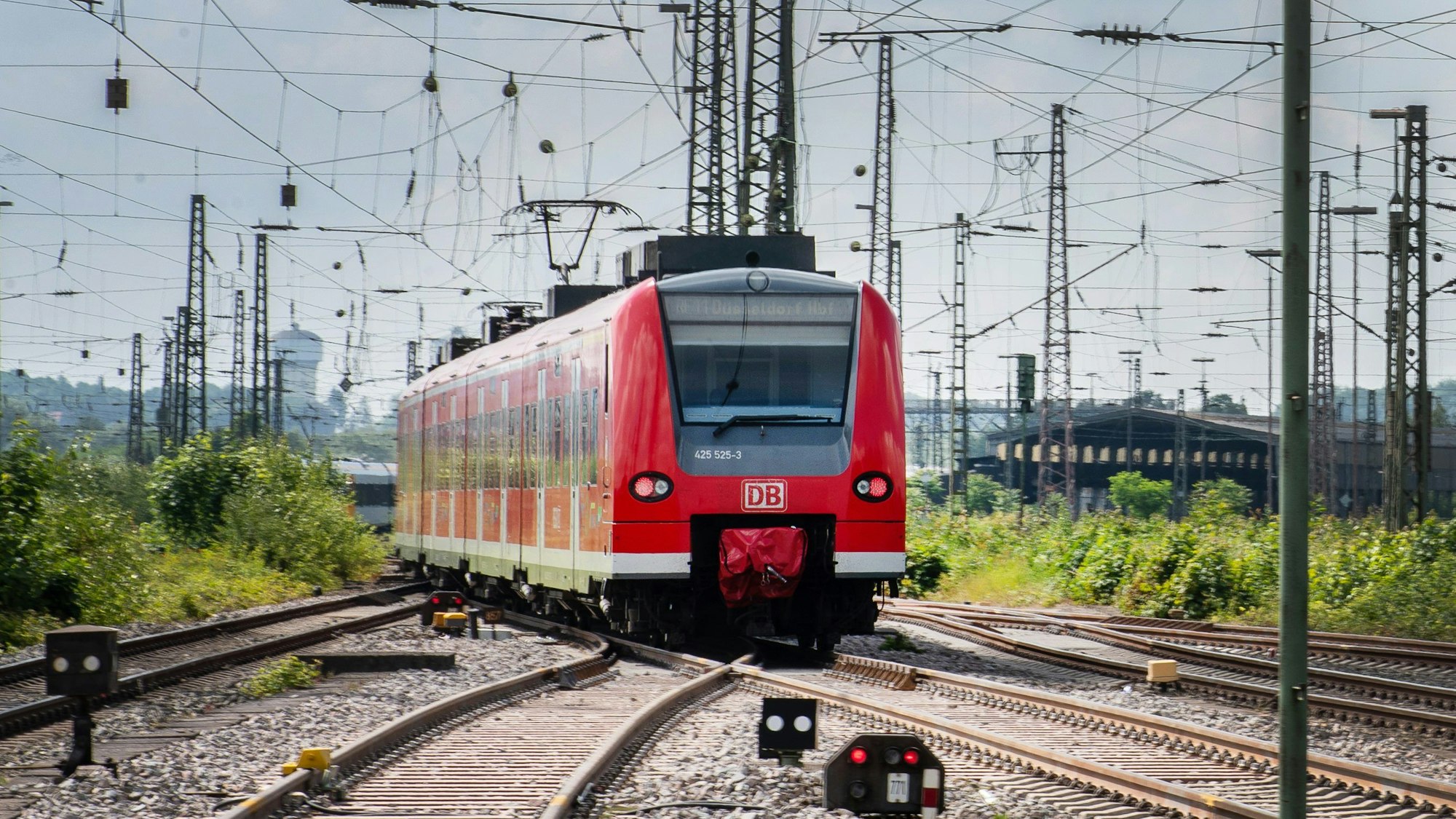 Ein Regionalzug fährt zwischen zahlreichen Oberleitungen.