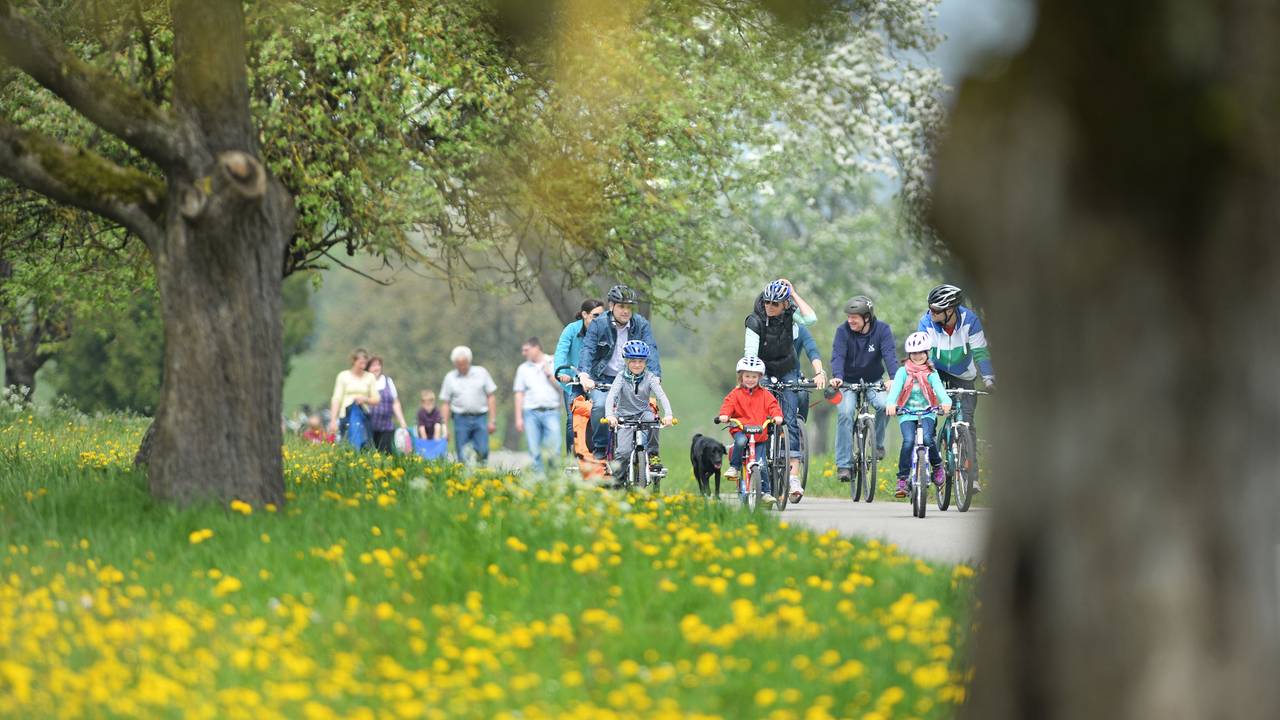 Drei Familien mit Kindern radeln an einem Blumenfeld vorbei.