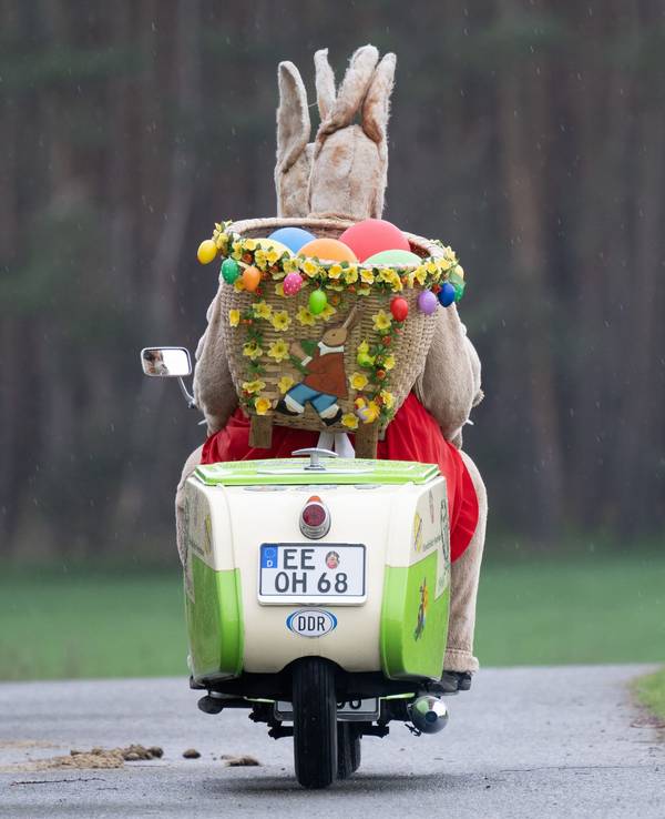 Das Symbolfoto aus dem Jahr 2023 zeigt einen alten Roller, auf dem zwei Personen in Hasenkostümen sitzen. Hinten auf dem Roller befindet sich ein Korb mit bunten Ostereiern.