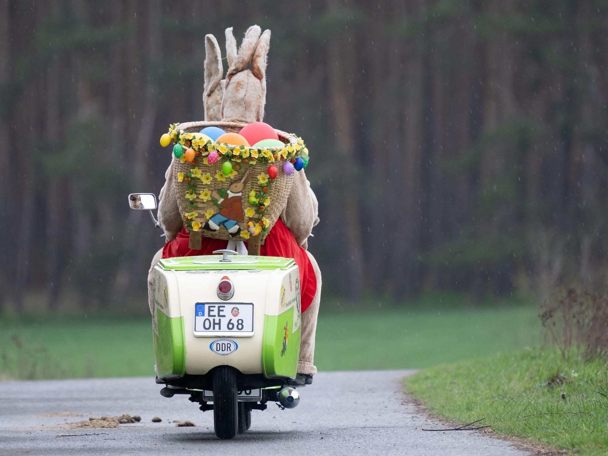 Das Symbolfoto aus dem Jahr 2023 zeigt einen alten Roller, auf dem zwei Personen in Hasenkostümen sitzen. Hinten auf dem Roller befindet sich ein Korb mit bunten Ostereiern.