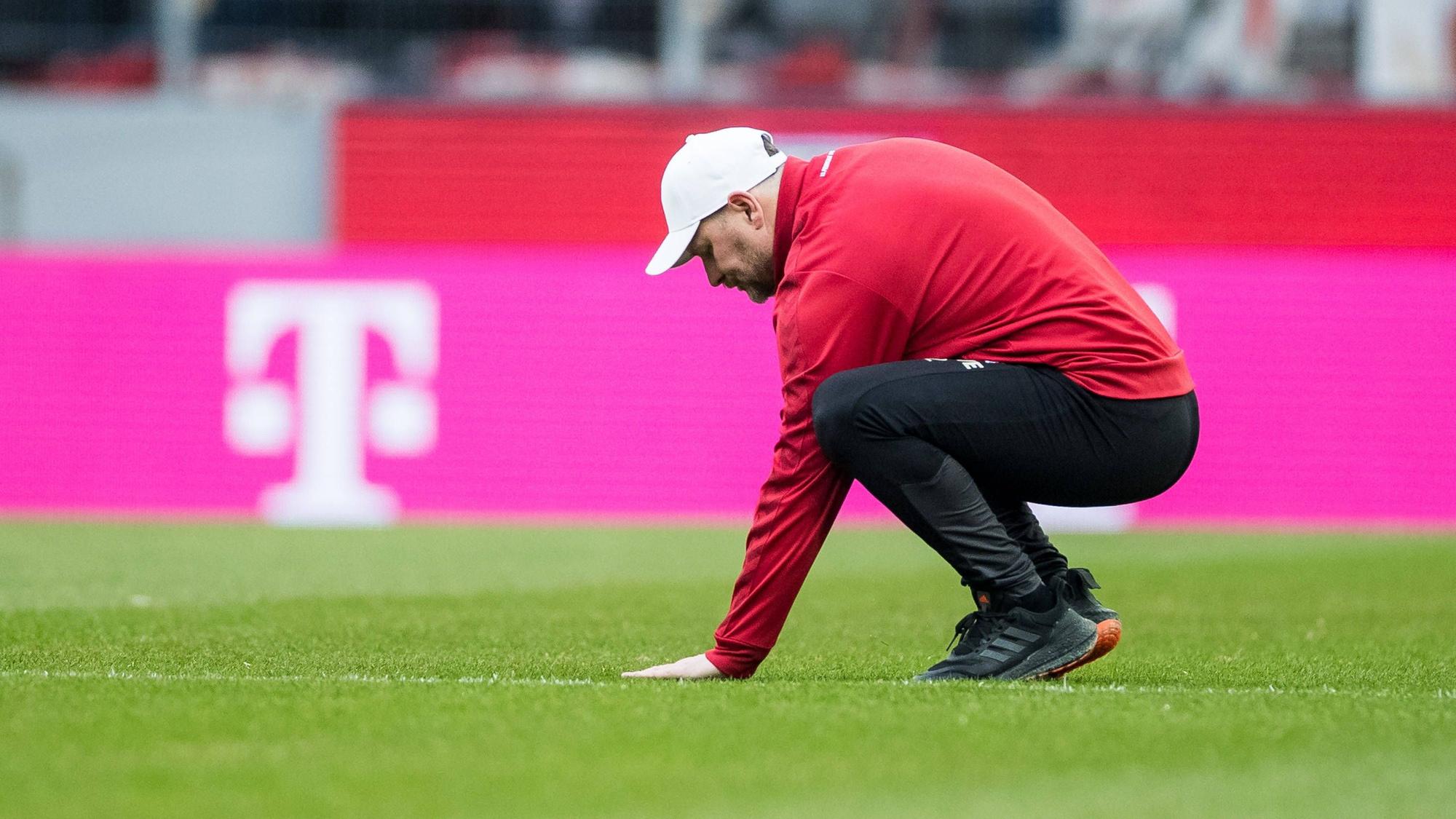 Steffen Baumgart vom 1. FC Köln streichelt den Rasen.