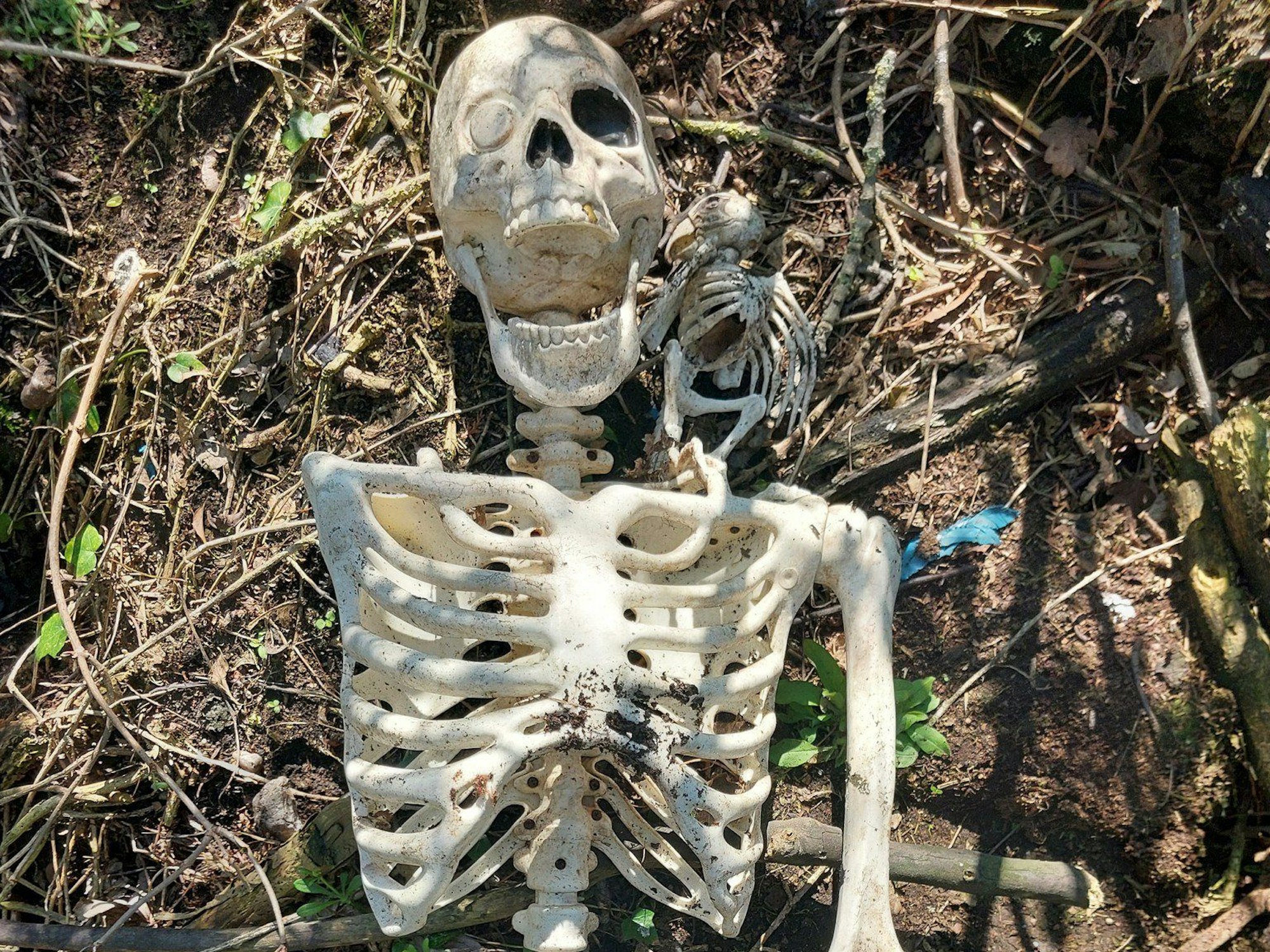 Dieses undatierte von der Polizei Derbyshire herausgegebene Foto zeigt ein Spielzeugpiraten-Skelett aus Plastik.