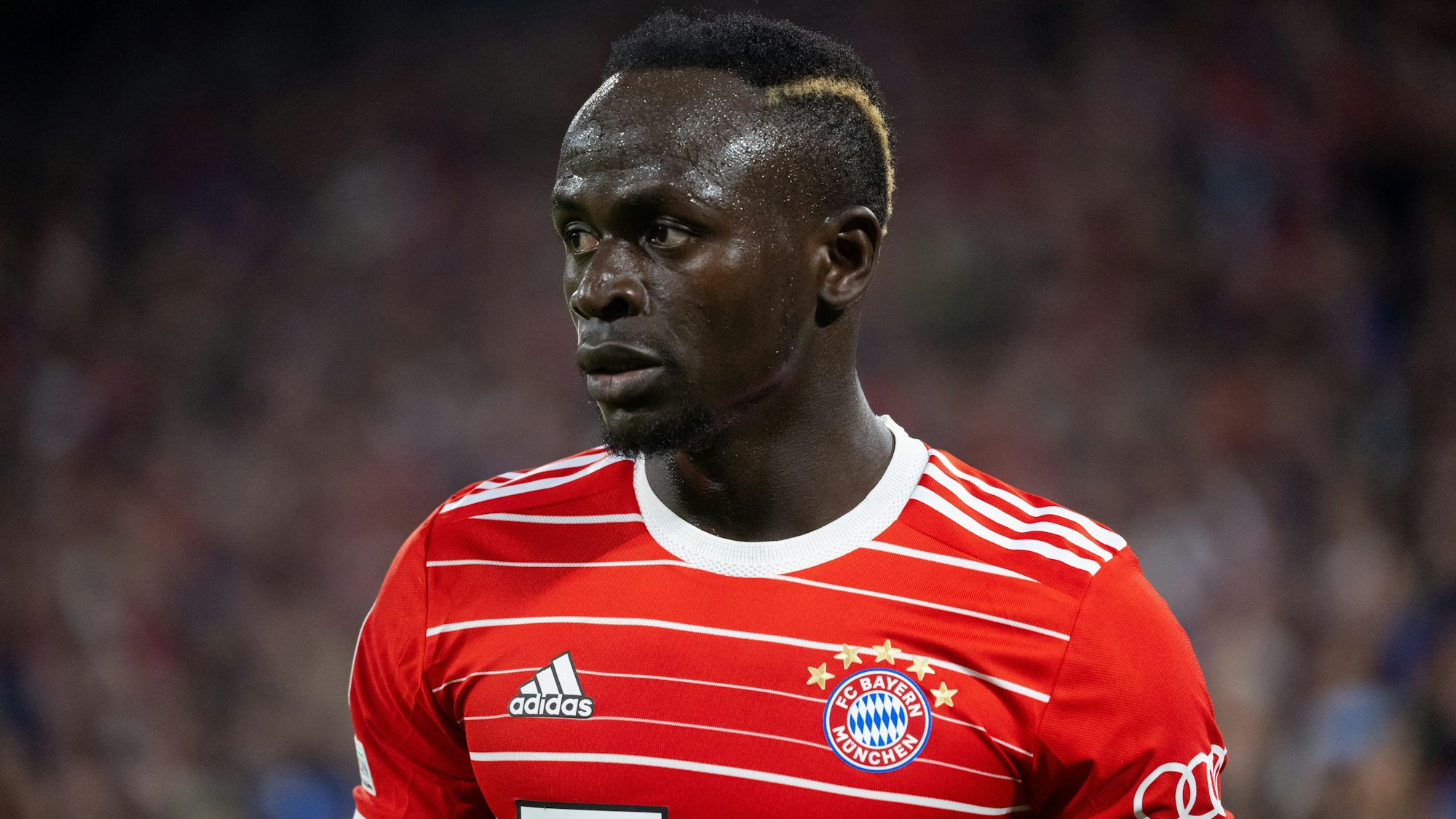 Bayern-Profi Sadio Mané beim Spiel gegen Viktoria Pilsen in der Champions League.